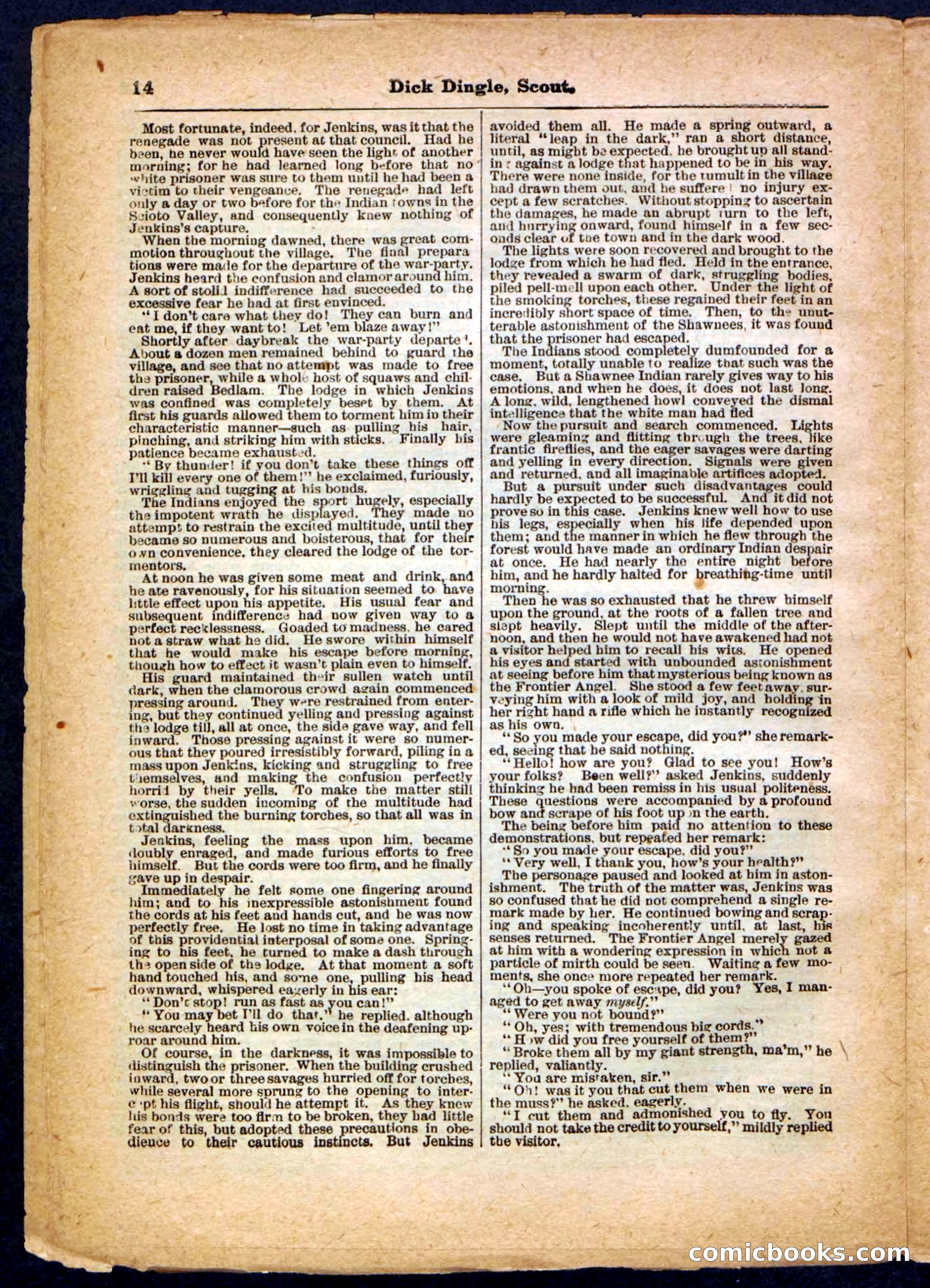 Beadle's Pocket Library No. 173 — page 14 of 32