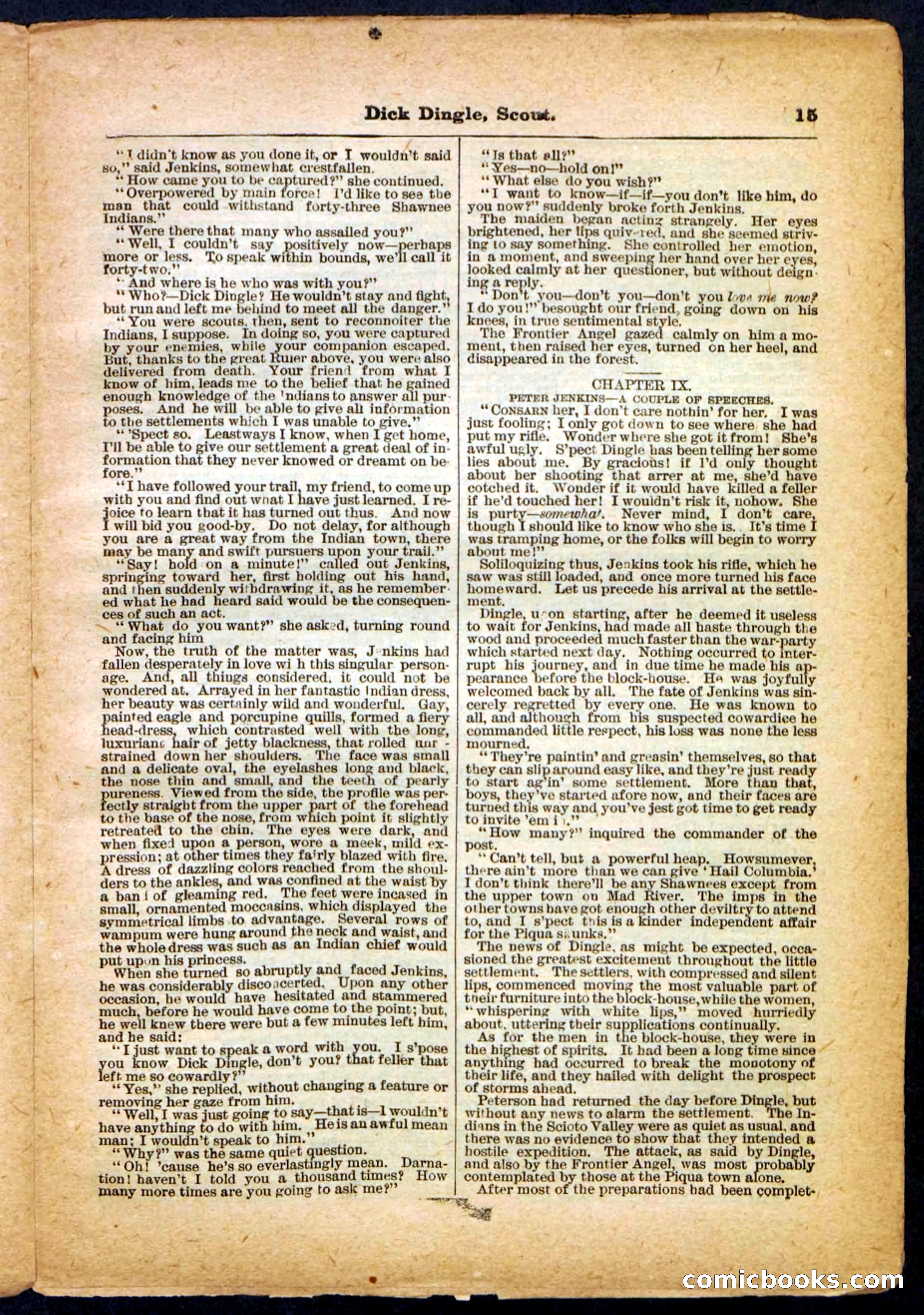 Beadle's Pocket Library No. 173 — page 15 of 32