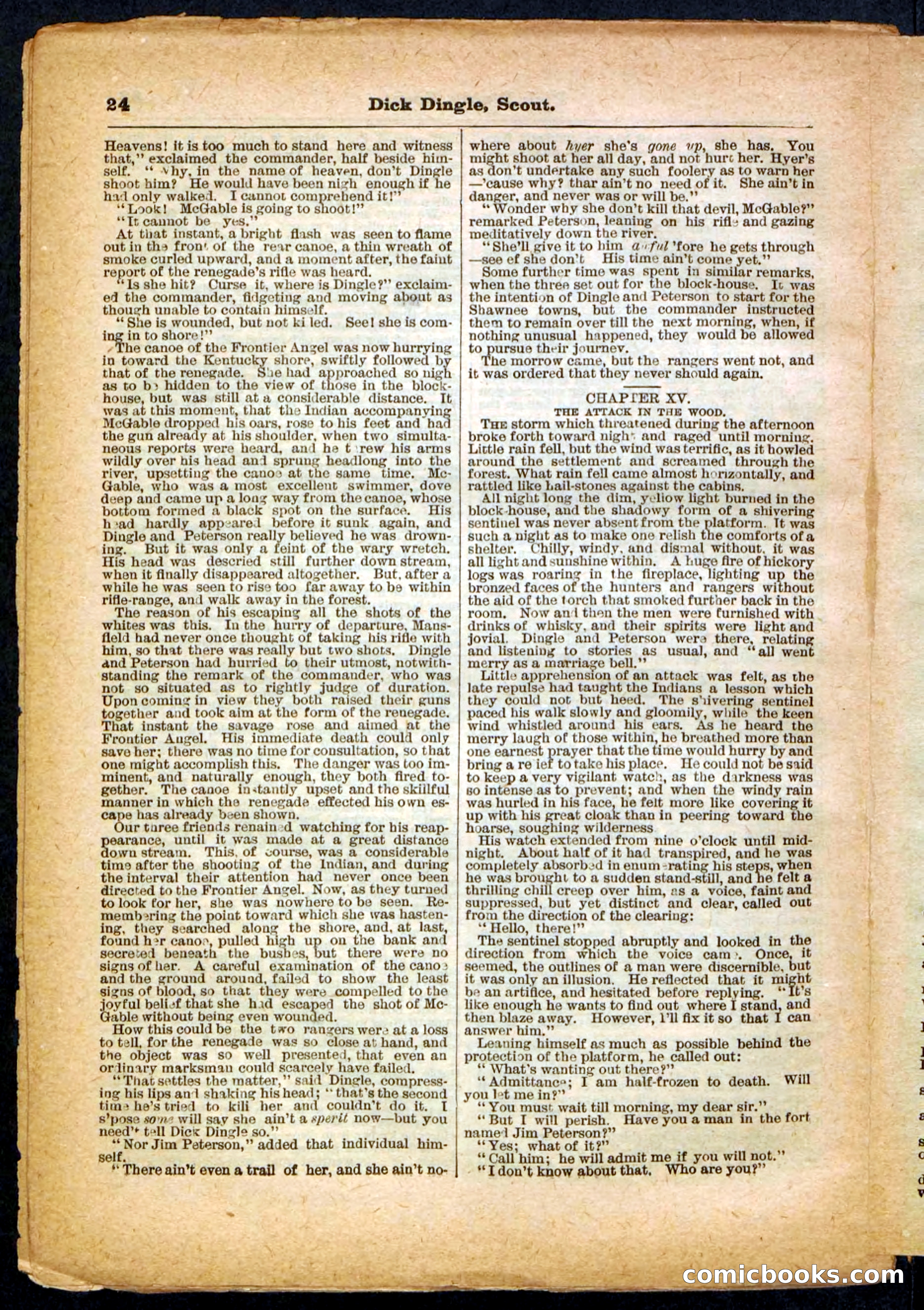 Beadle's Pocket Library No. 173 — page 24 of 32