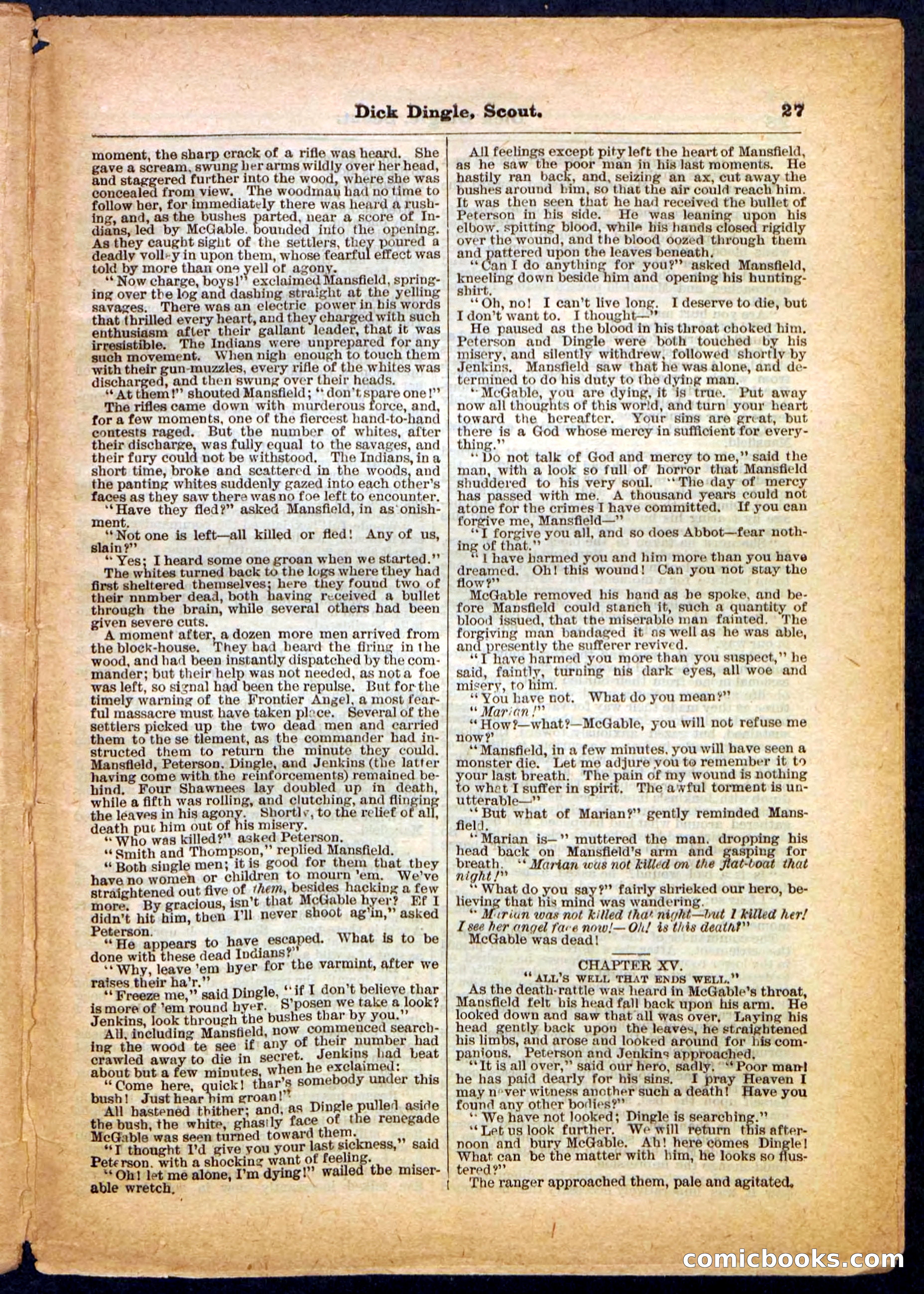 Beadle's Pocket Library No. 173 — page 27 of 32