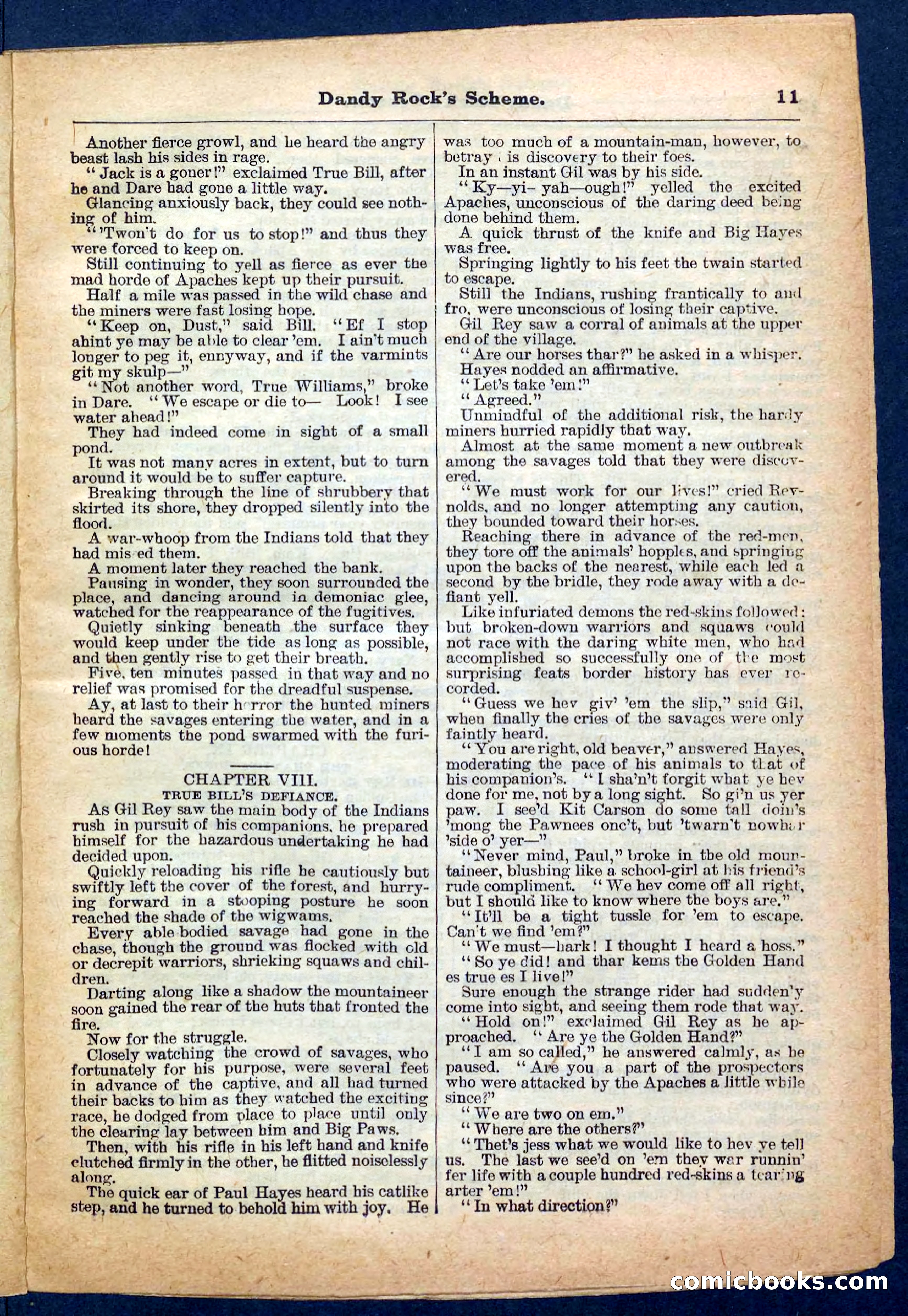 Beadle's Pocket Library, No. 174 — page 11 of 32