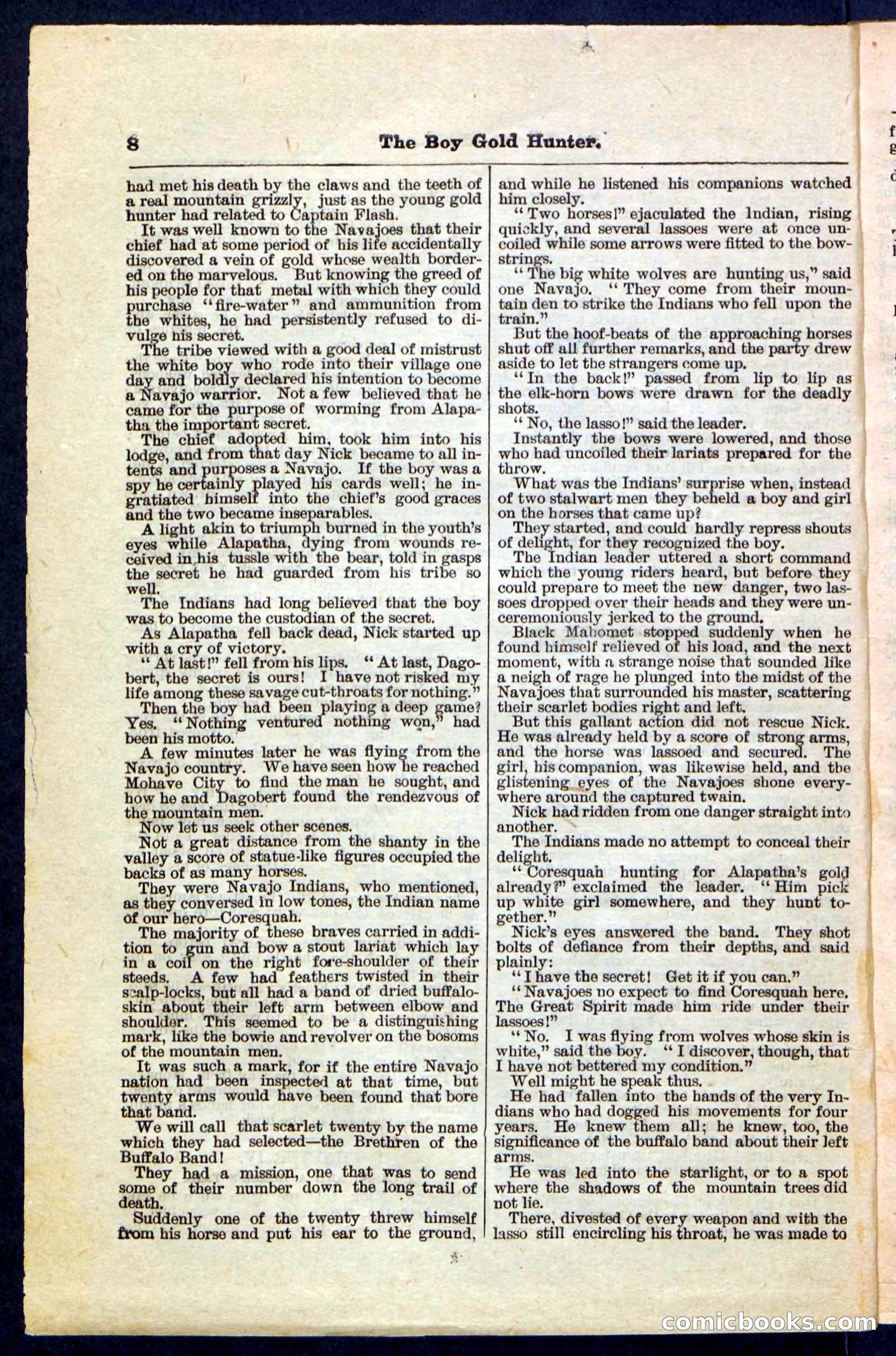 Beadle's Pocket Library No. 180 — page 8 of 32