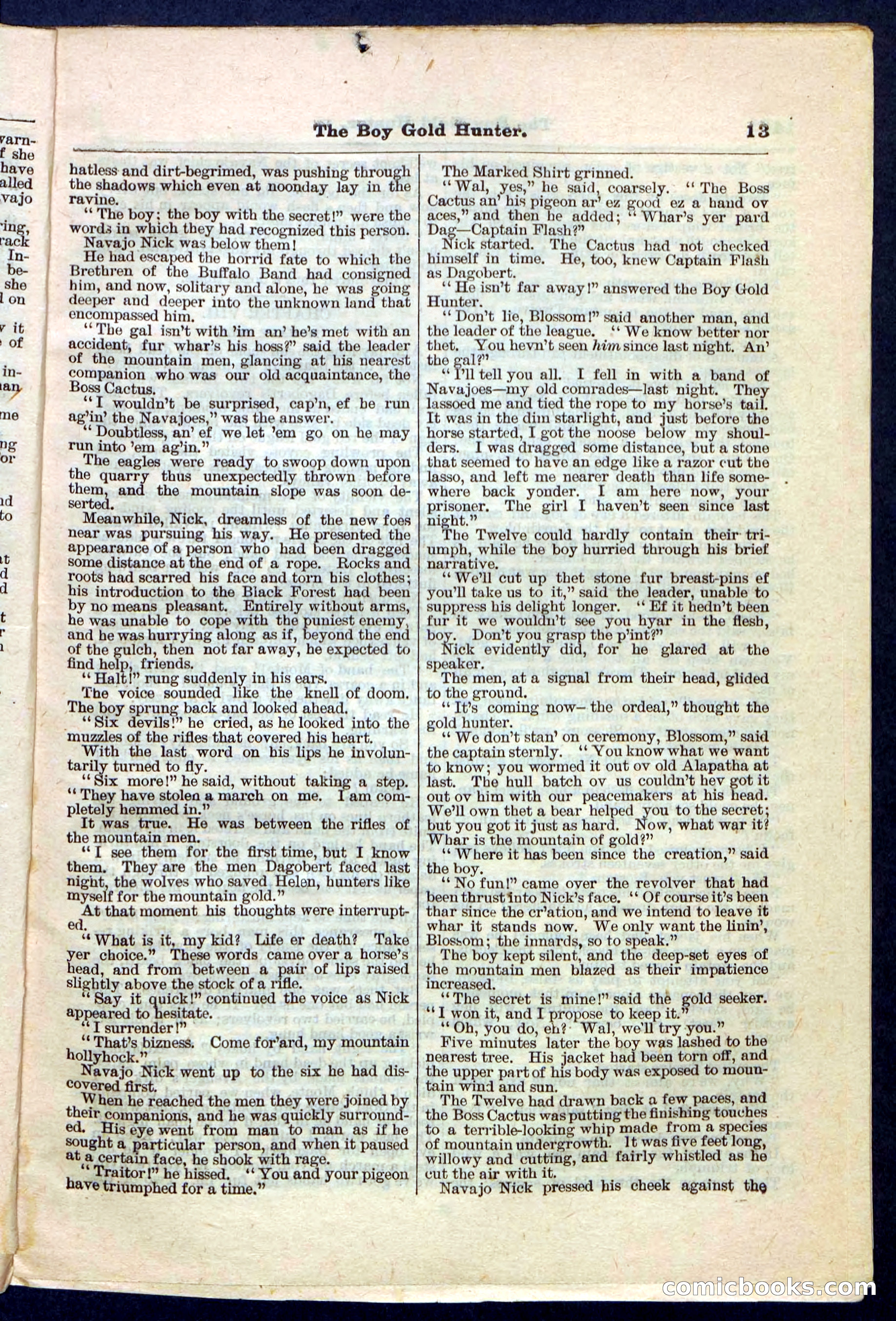 Beadle's Pocket Library No. 180 — page 13 of 32