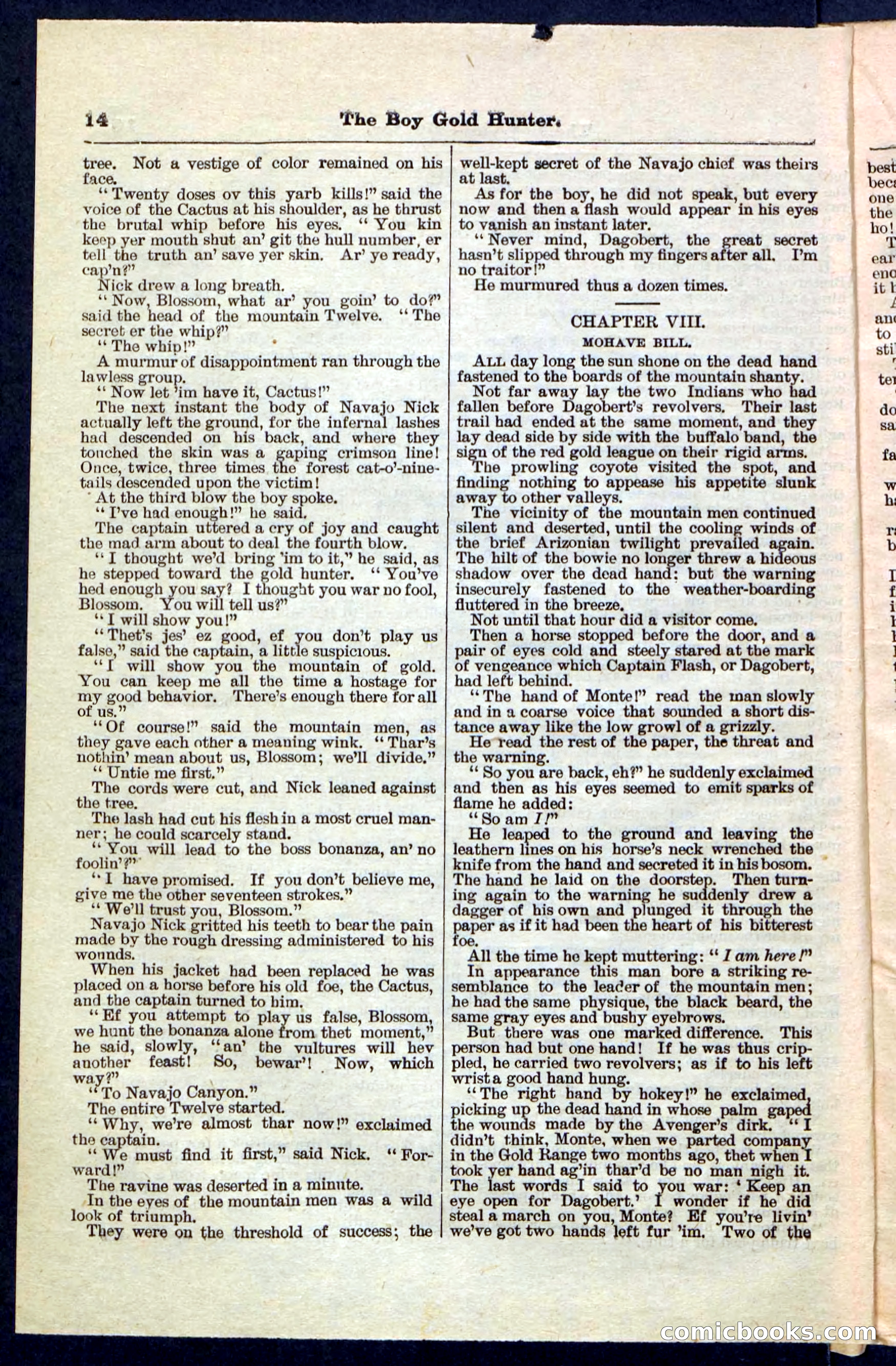Beadle's Pocket Library No. 180 — page 14 of 32