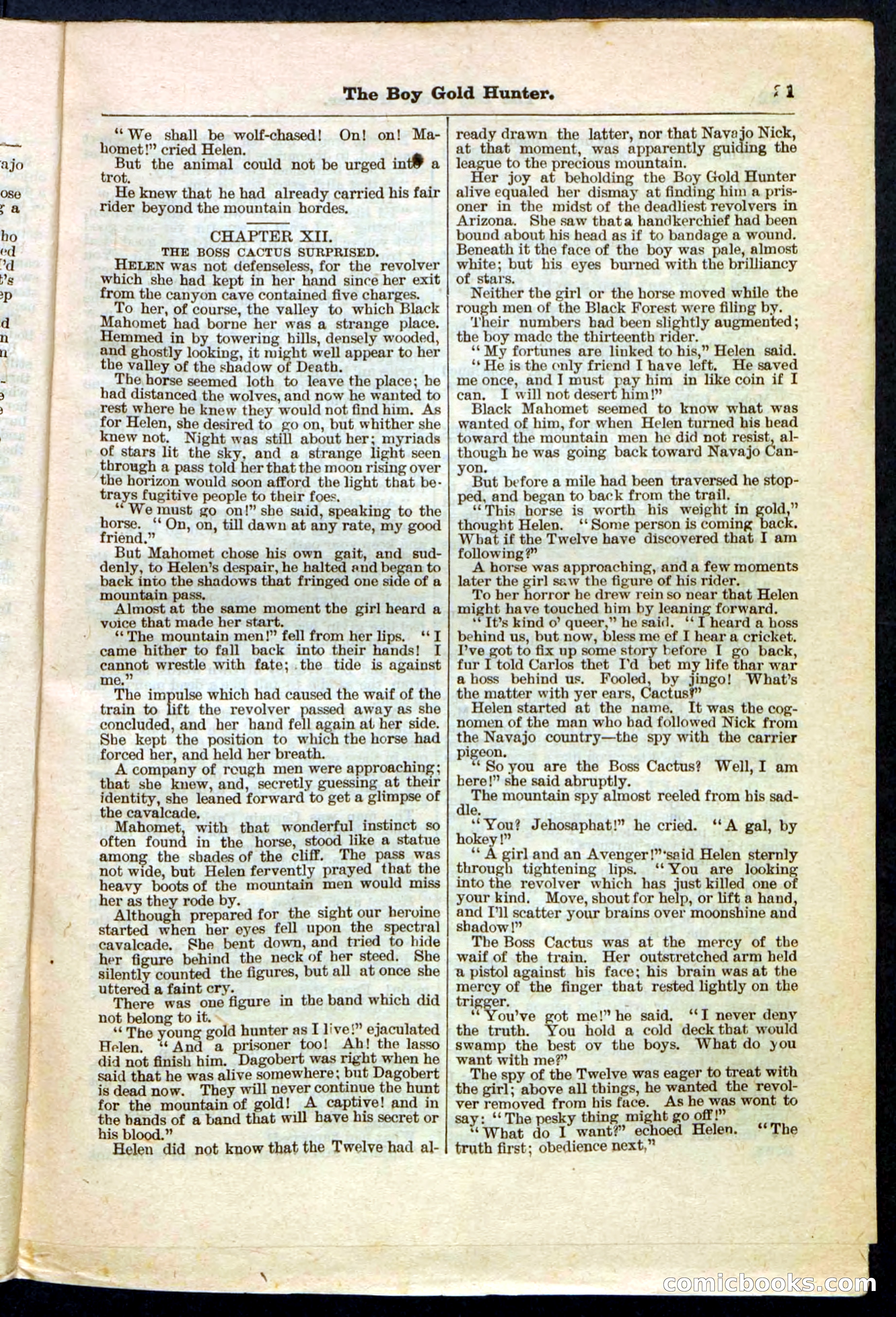 Beadle's Pocket Library No. 180 — page 21 of 32
