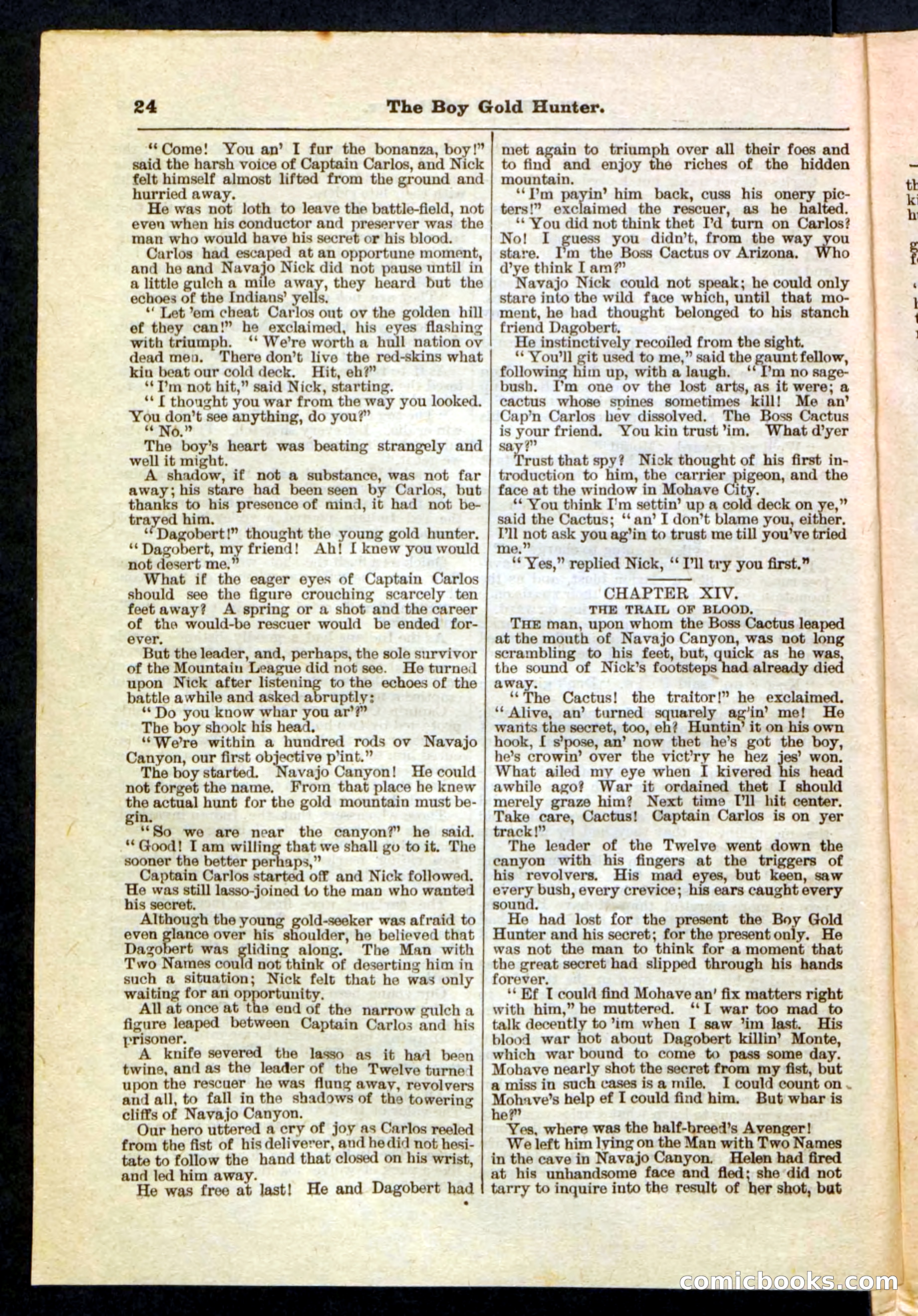 Beadle's Pocket Library No. 180 — page 24 of 32