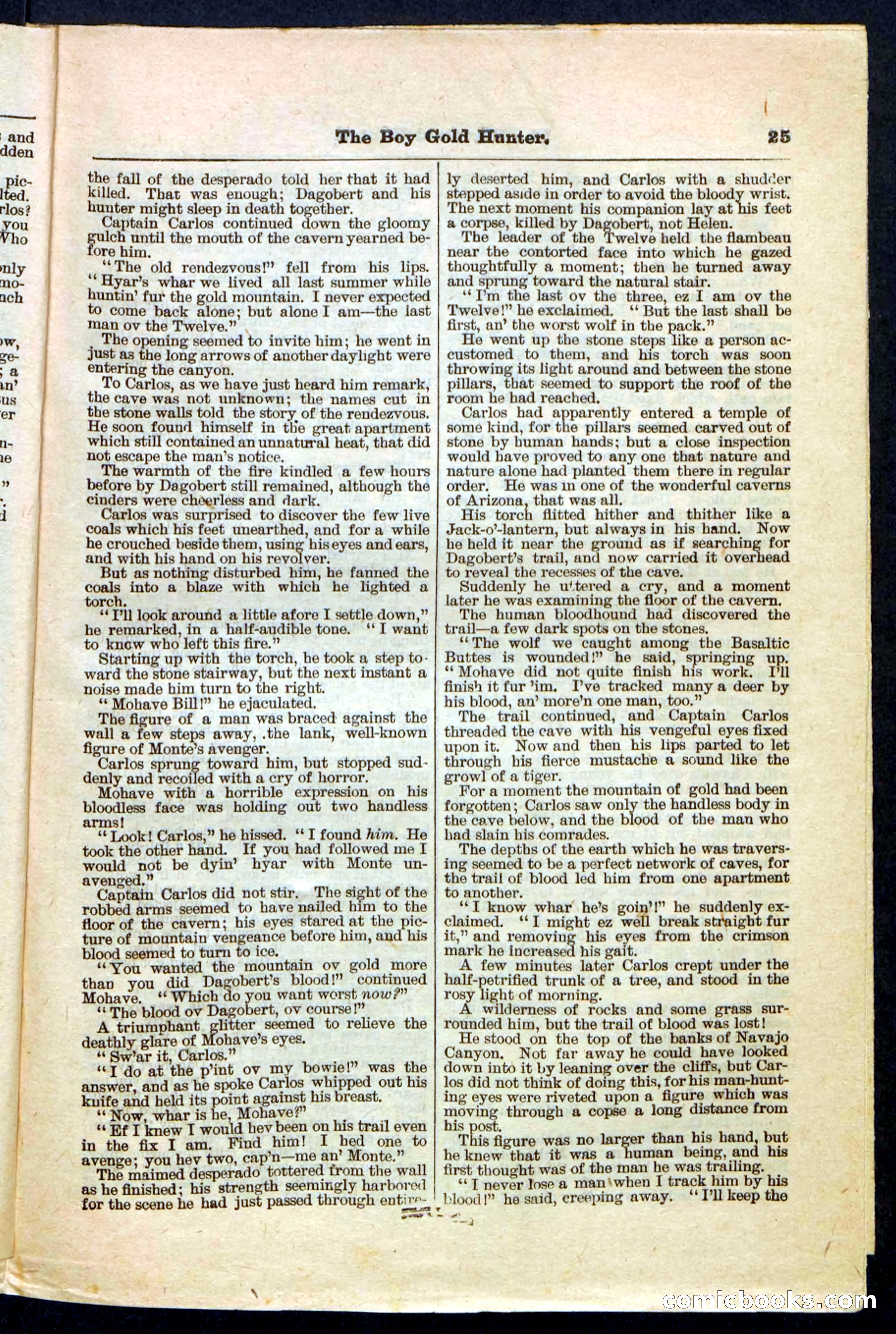Beadle's Pocket Library No. 180 — page 25 of 32
