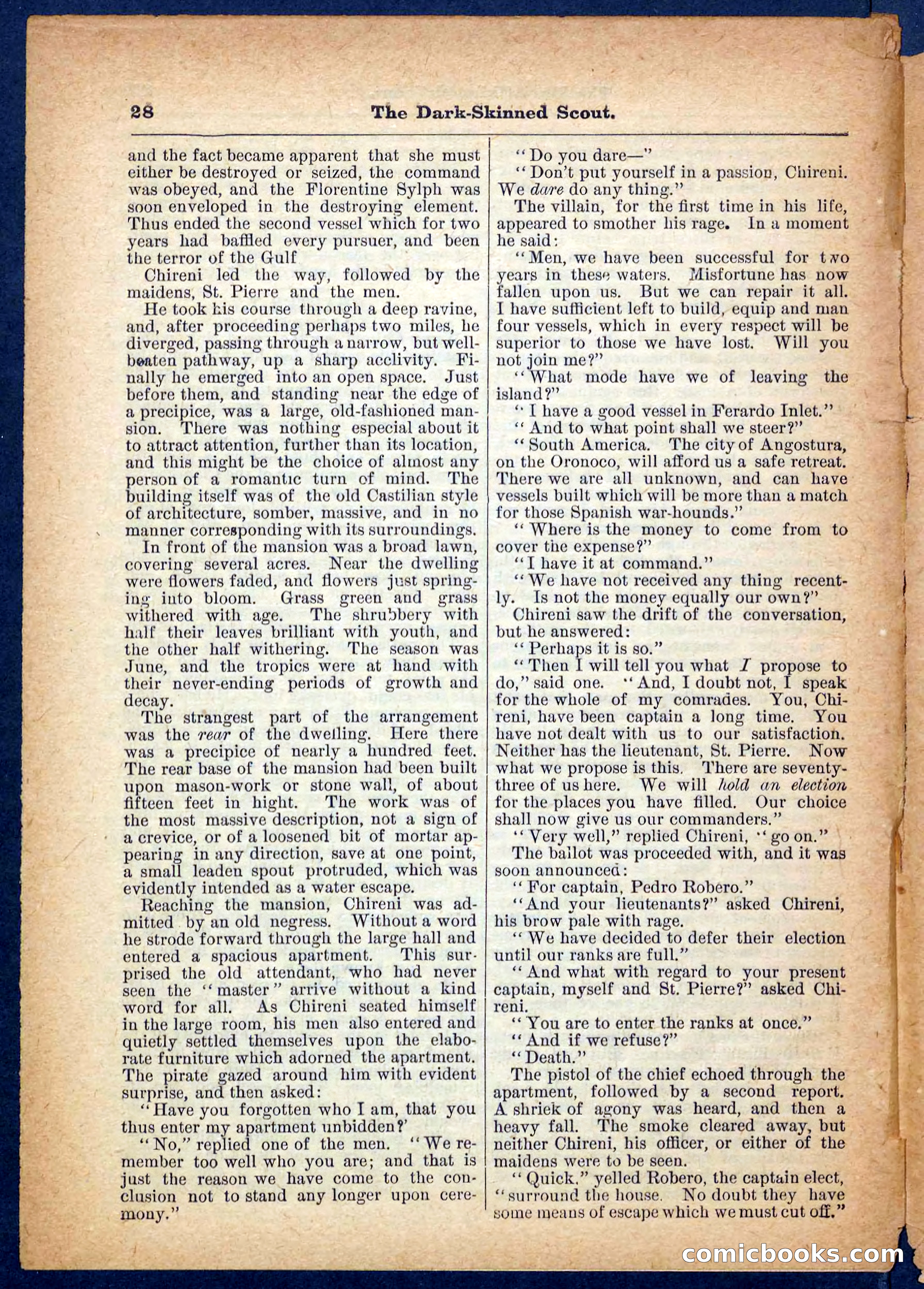 Beadle's Pocket Library No. 182 — page 28 of 32