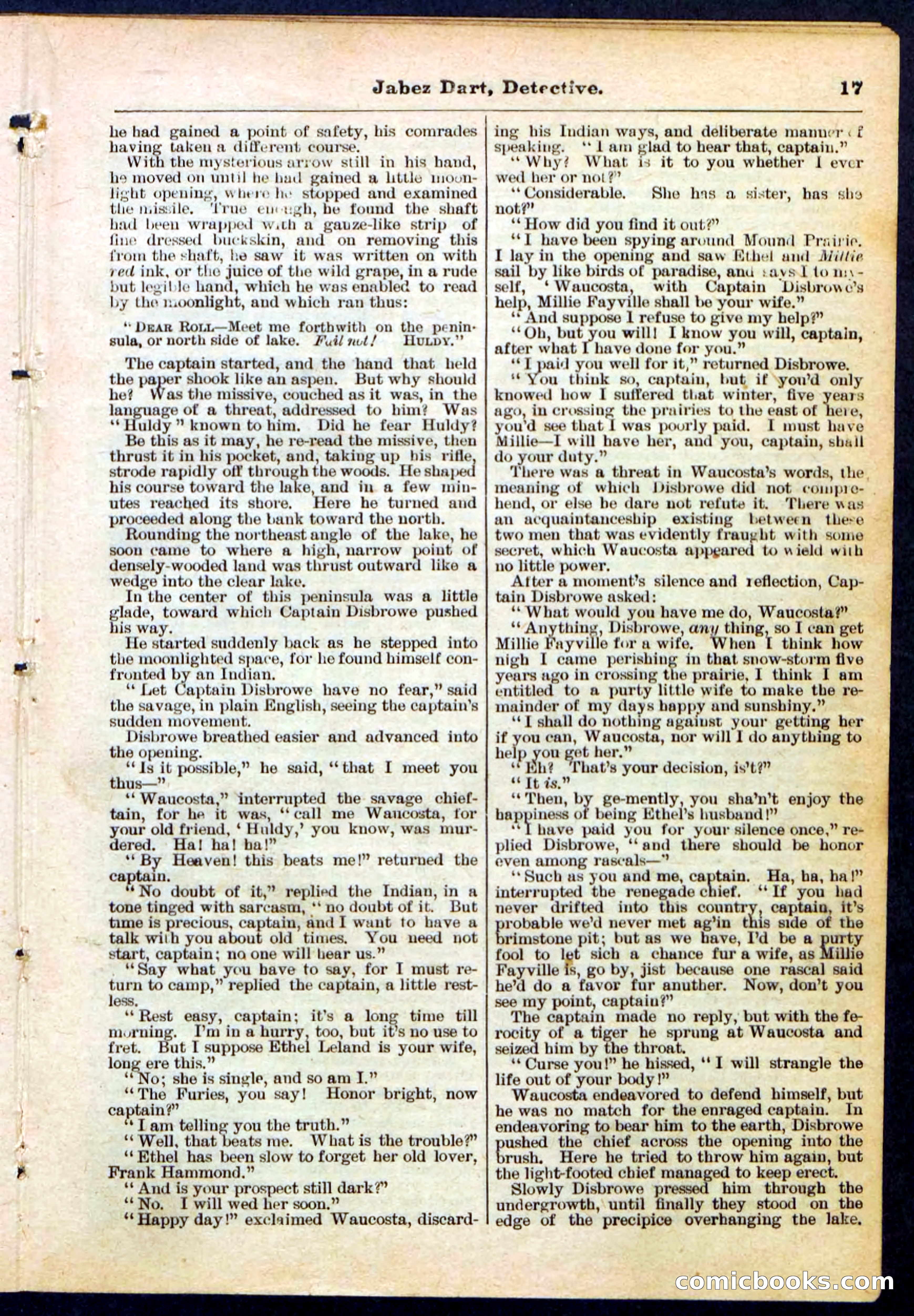 Beadle's Pocket Library, No. 183 — page 17 of 32