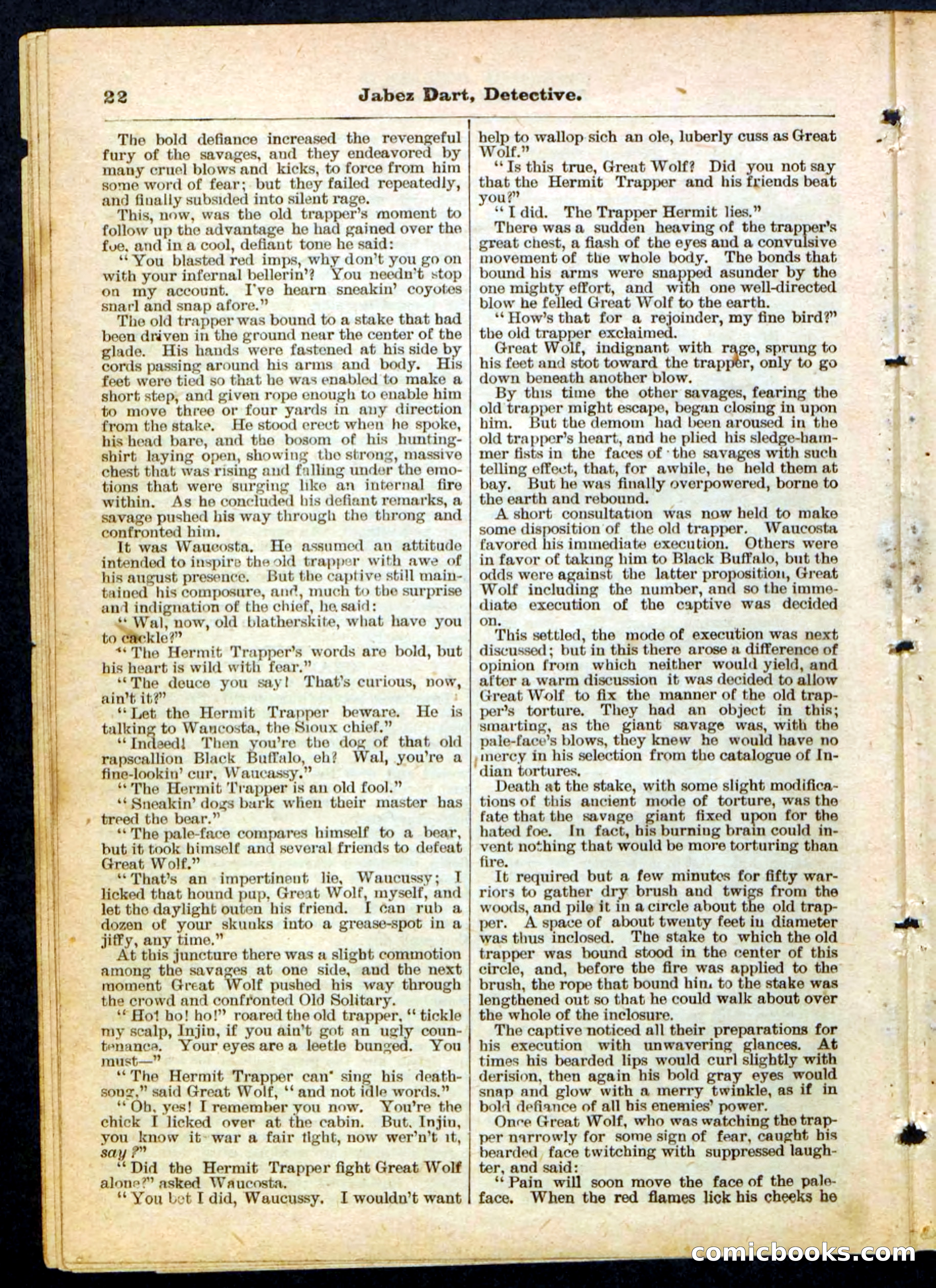 Beadle's Pocket Library, No. 183 — page 22 of 32