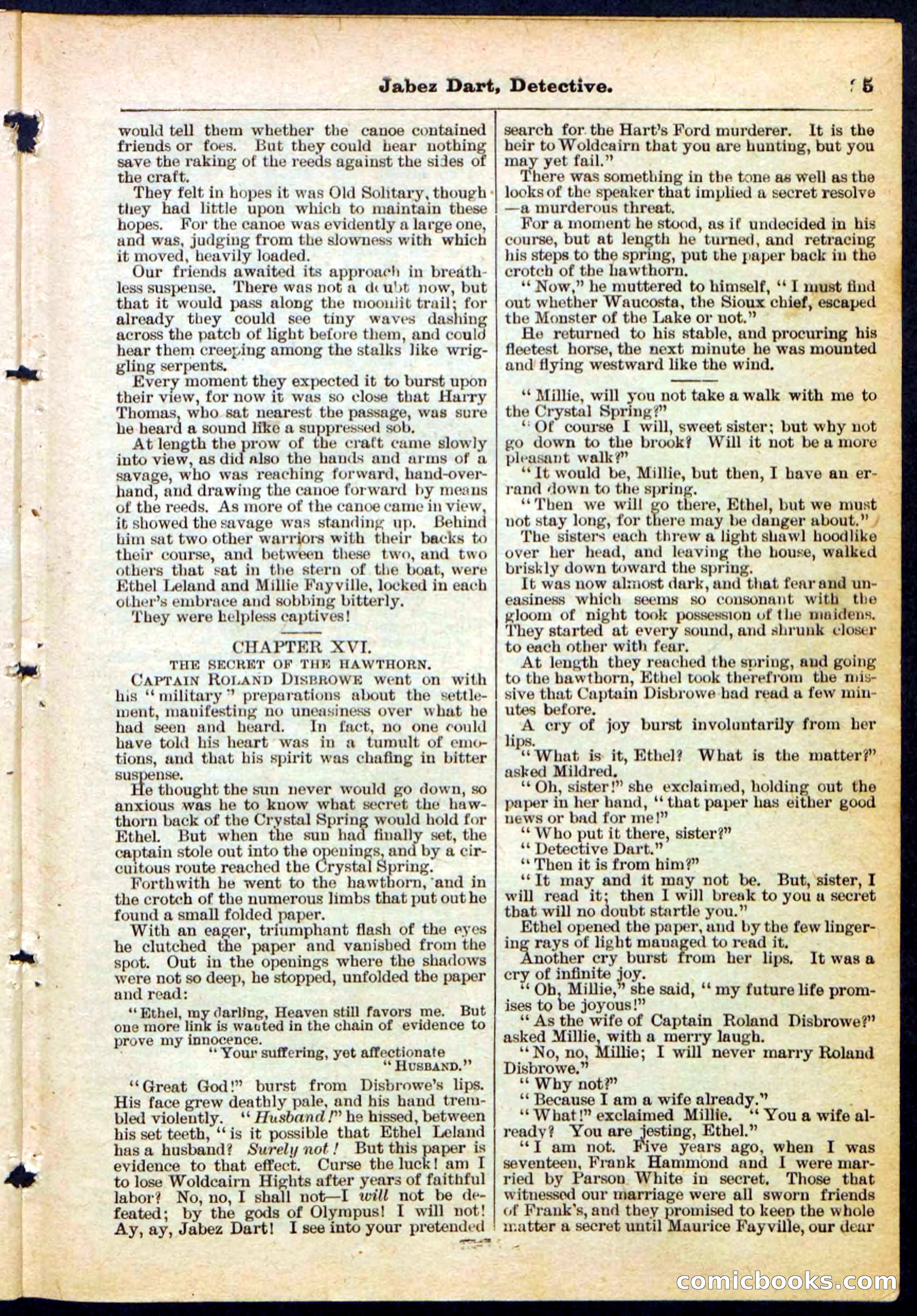 Beadle's Pocket Library, No. 183 — page 25 of 32