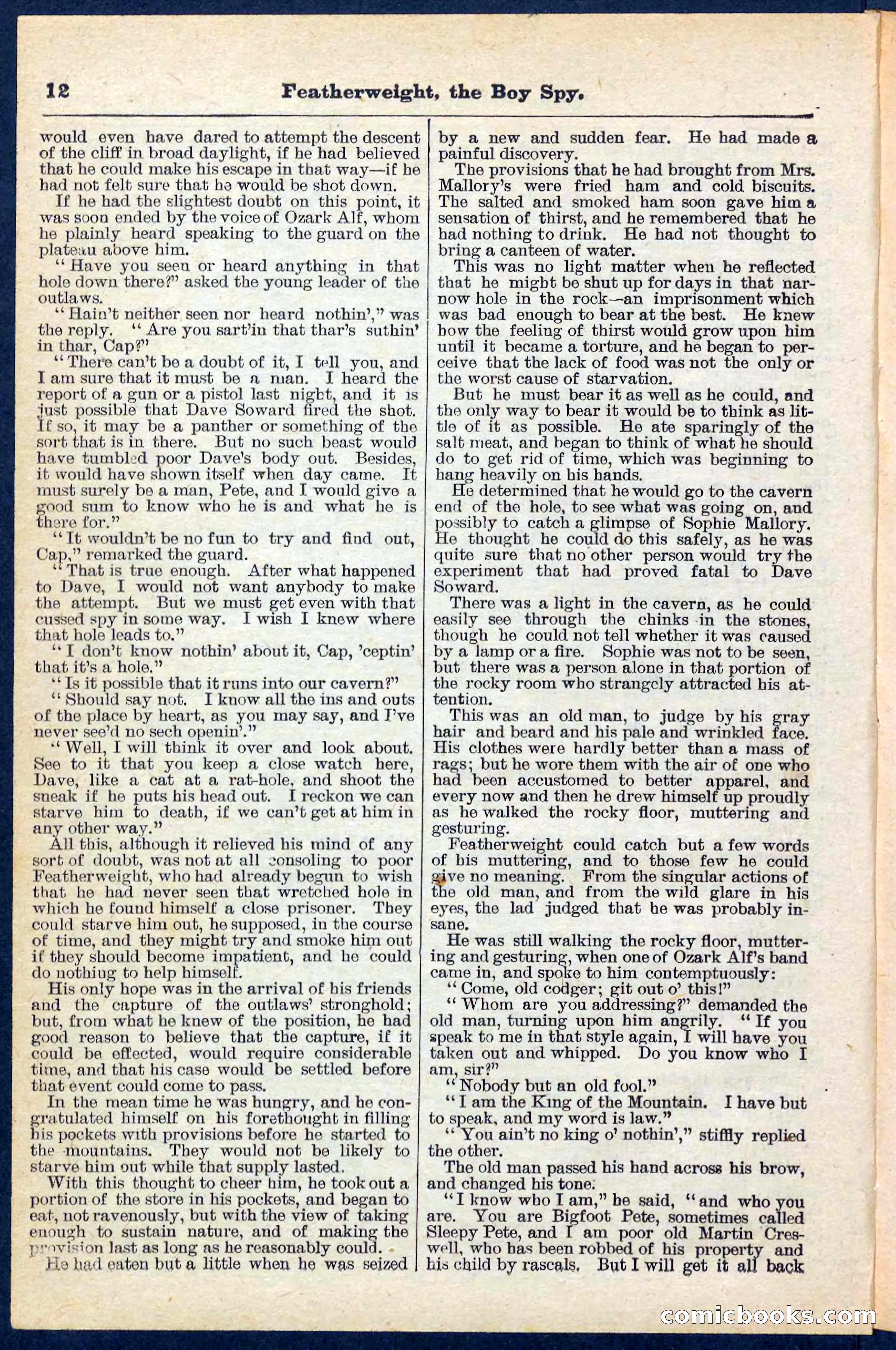 Beadle's Pocket Library No. 184 — page 12 of 32