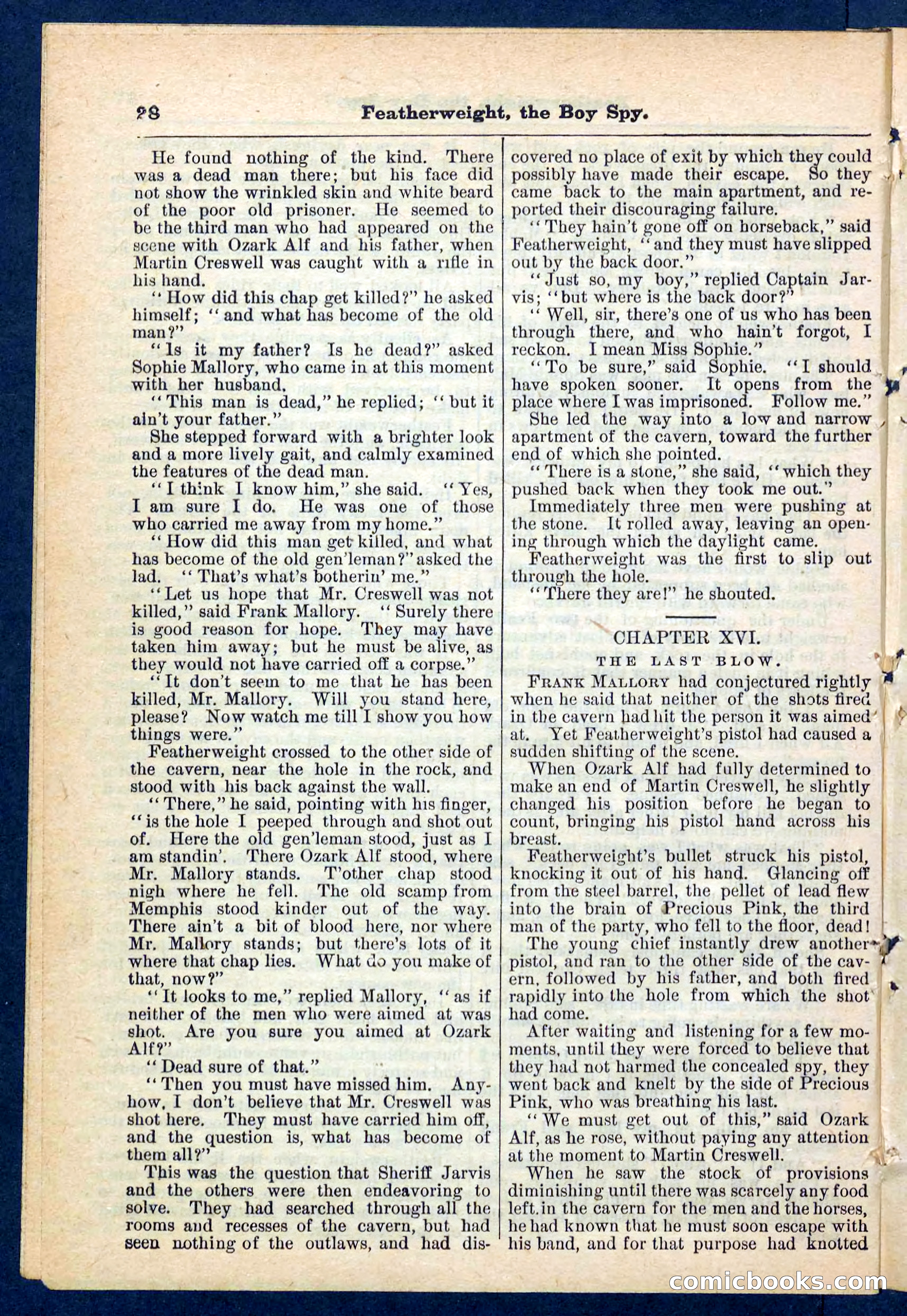 Beadle's Pocket Library No. 184 — page 28 of 32