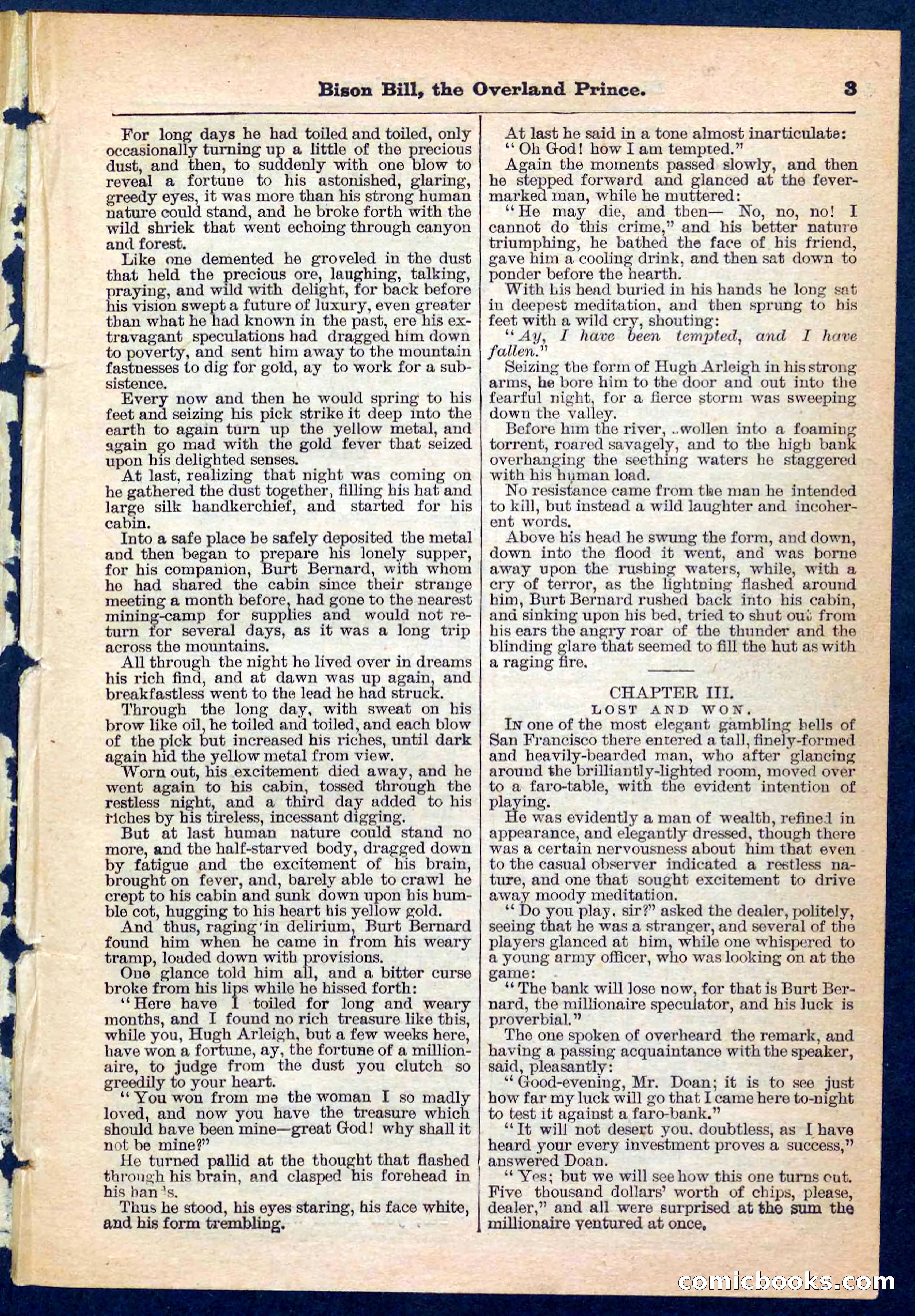 Beadle's Pocket Library No. 185 — page 3 of 32