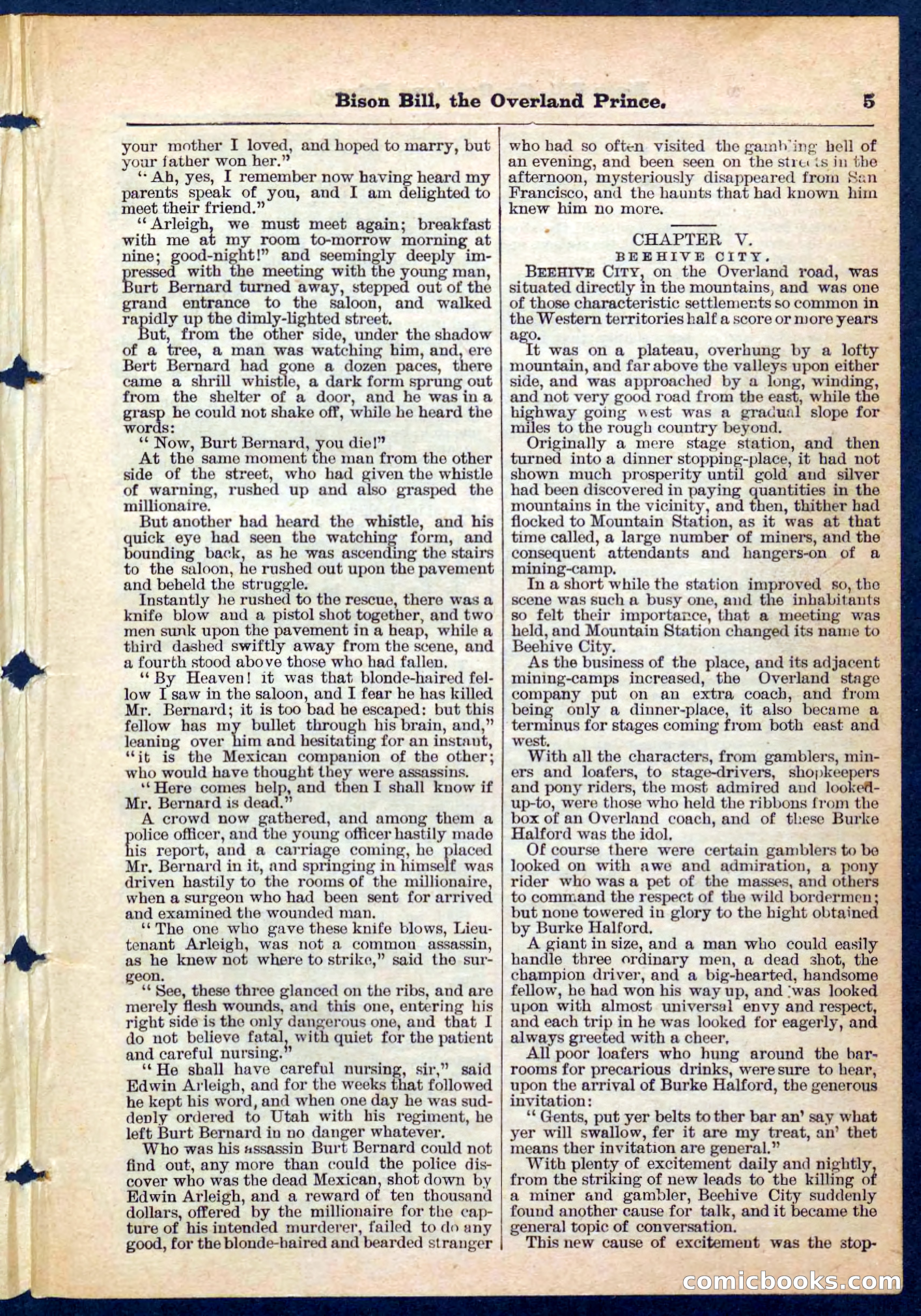 Beadle's Pocket Library No. 185 — page 5 of 32