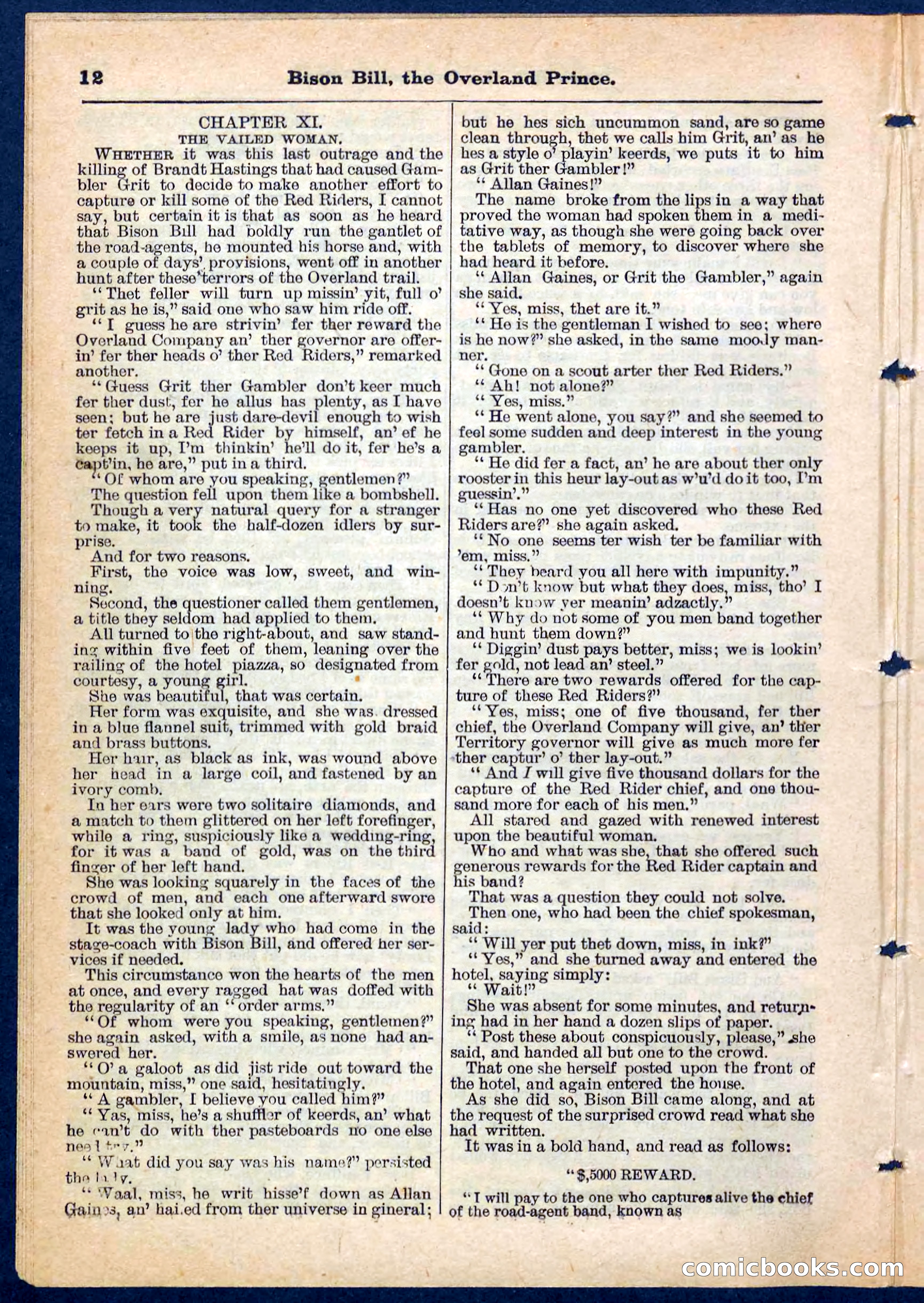 Beadle's Pocket Library No. 185 — page 12 of 32