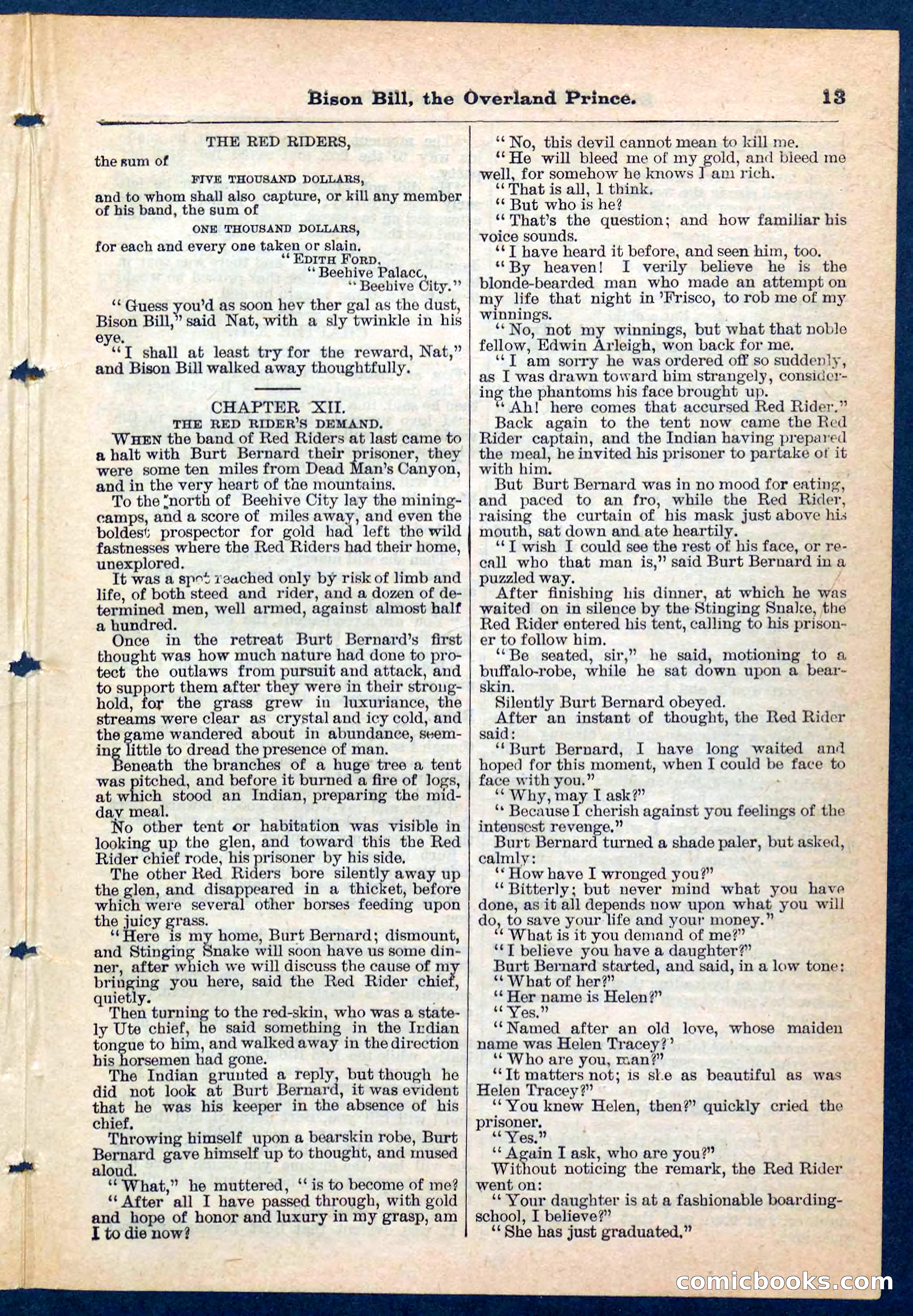 Beadle's Pocket Library No. 185 — page 13 of 32