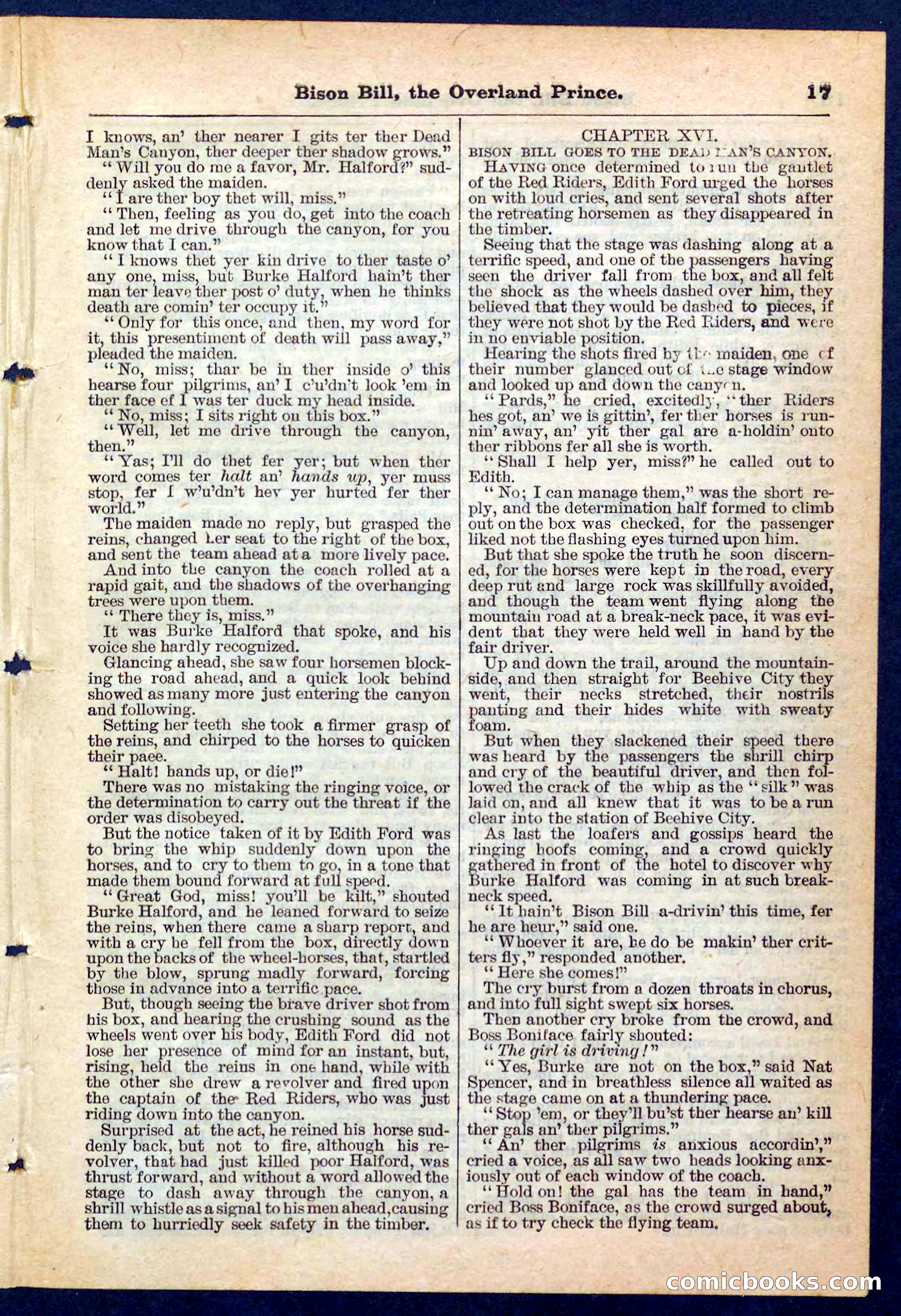 Beadle's Pocket Library No. 185 — page 17 of 32