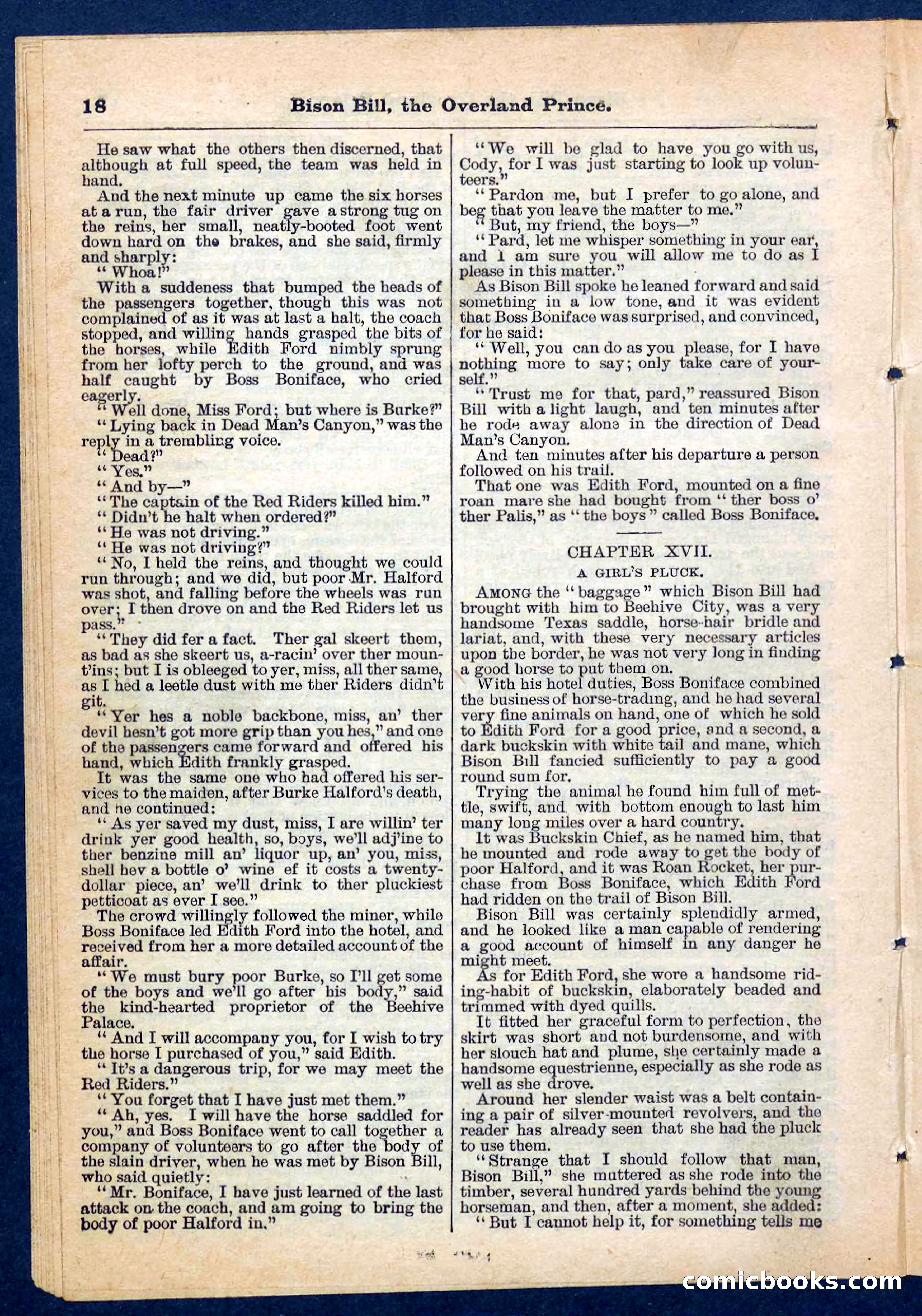 Beadle's Pocket Library No. 185 — page 18 of 32
