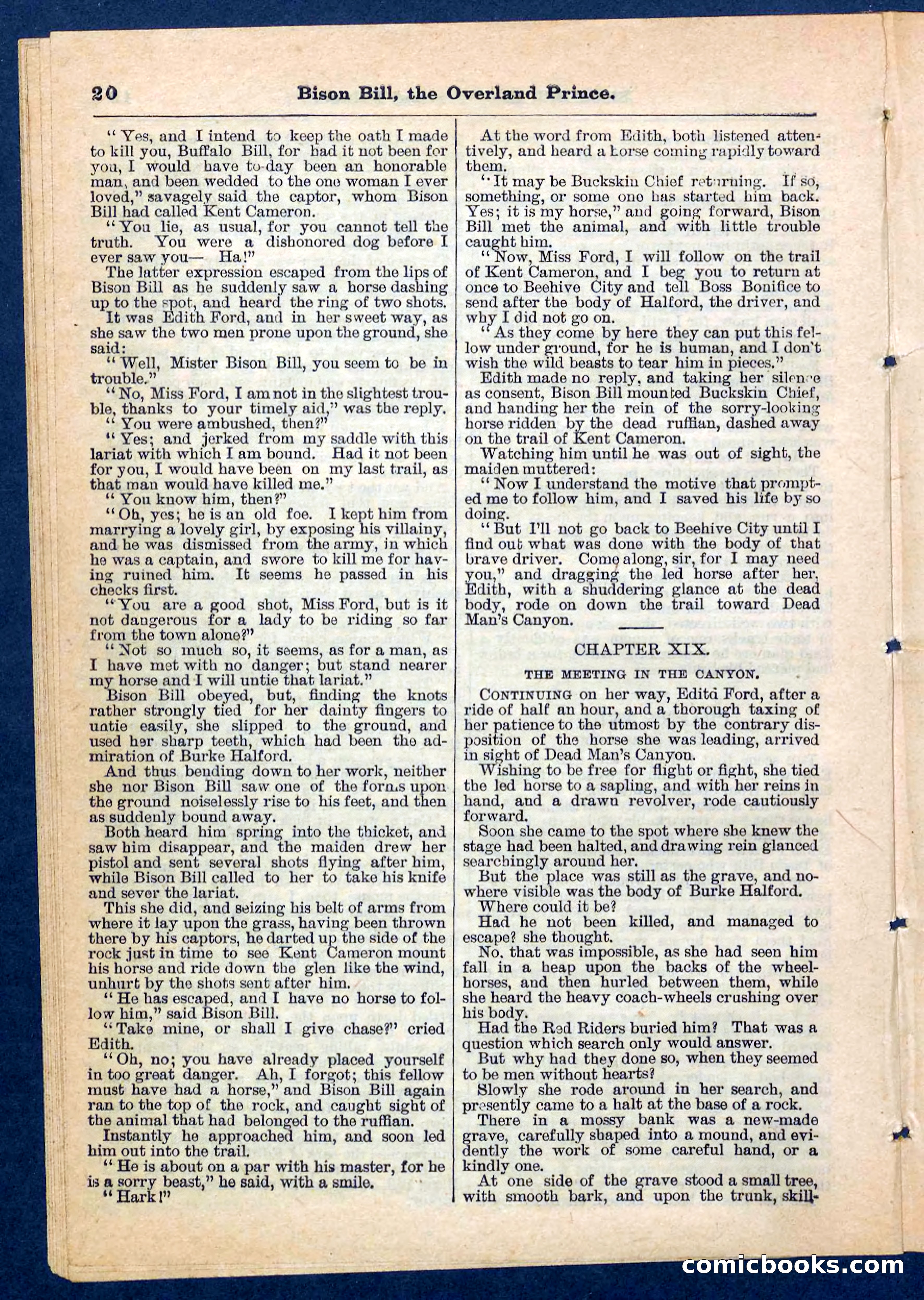 Beadle's Pocket Library No. 185 — page 20 of 32