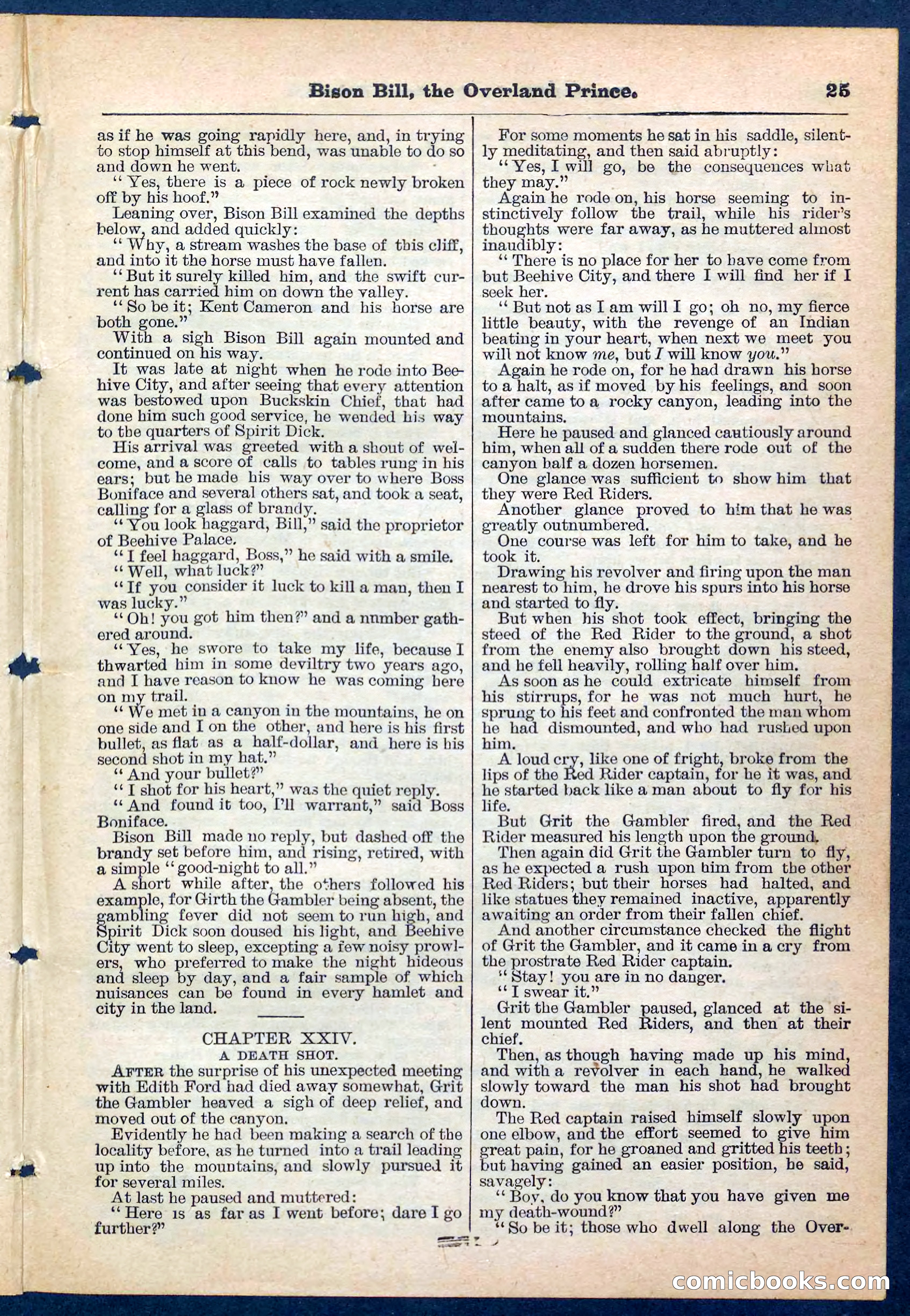 Beadle's Pocket Library No. 185 — page 25 of 32