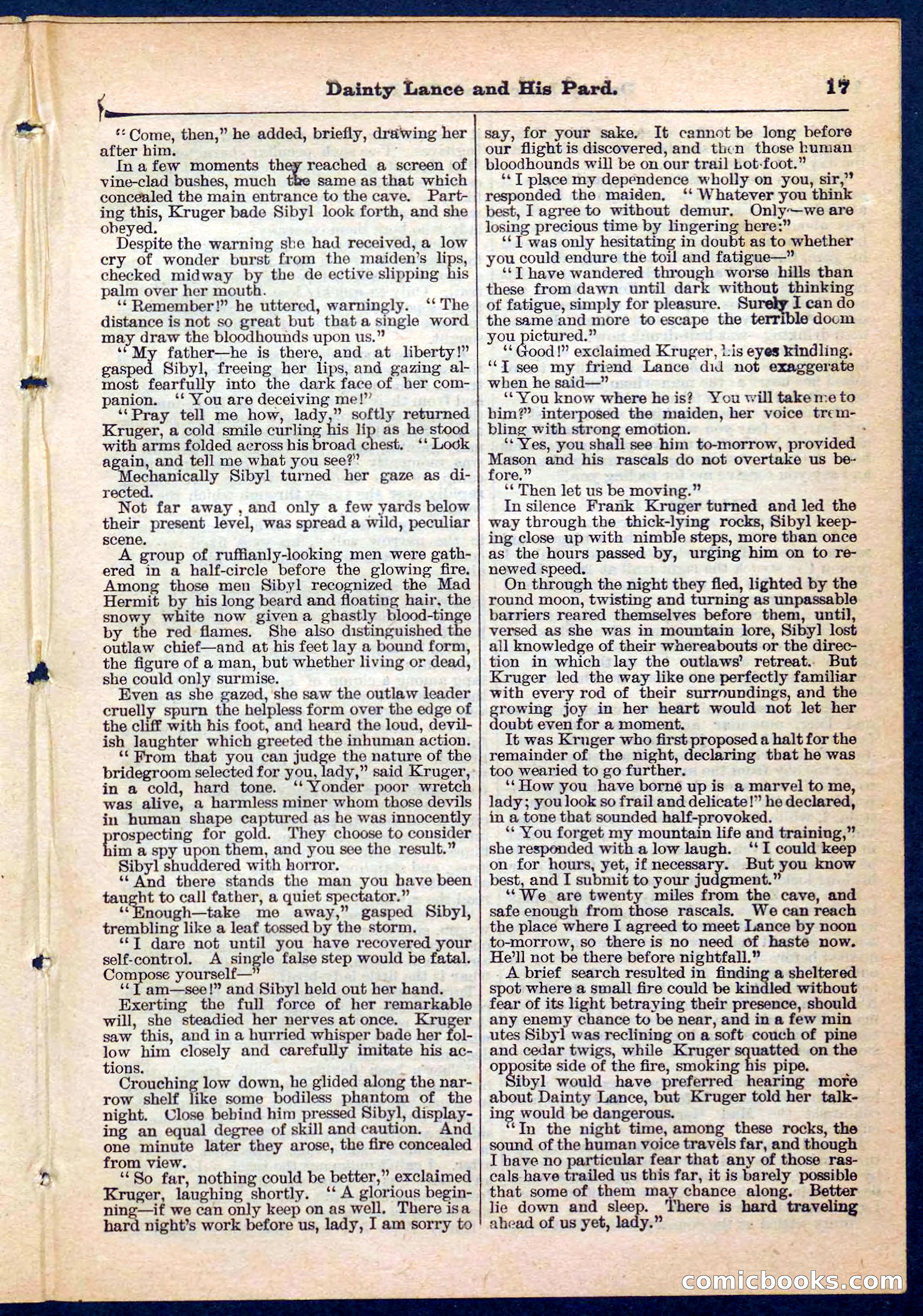 Beadle's Pocket Library No. 186 — page 17 of 32