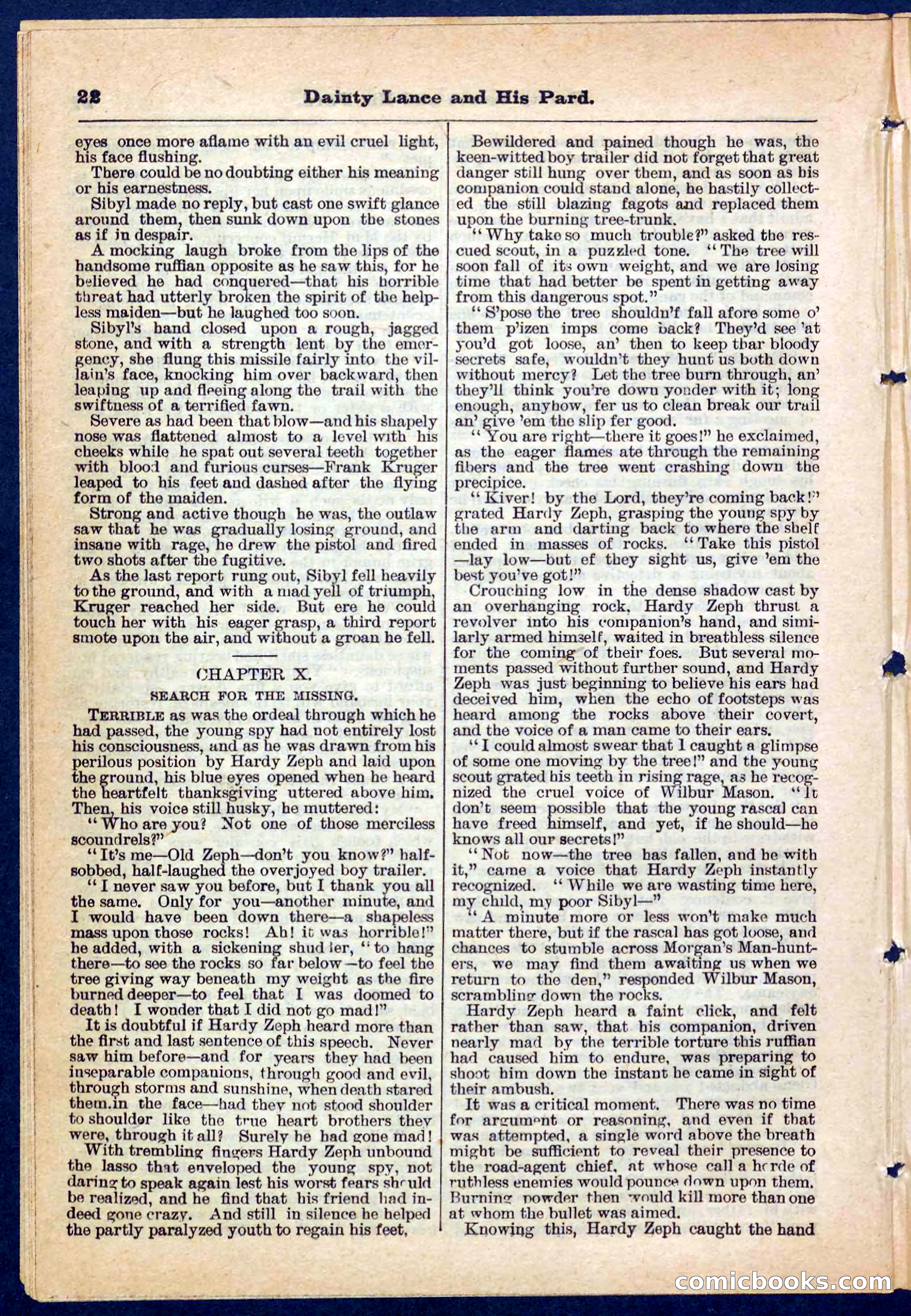 Beadle's Pocket Library No. 186 — page 22 of 32