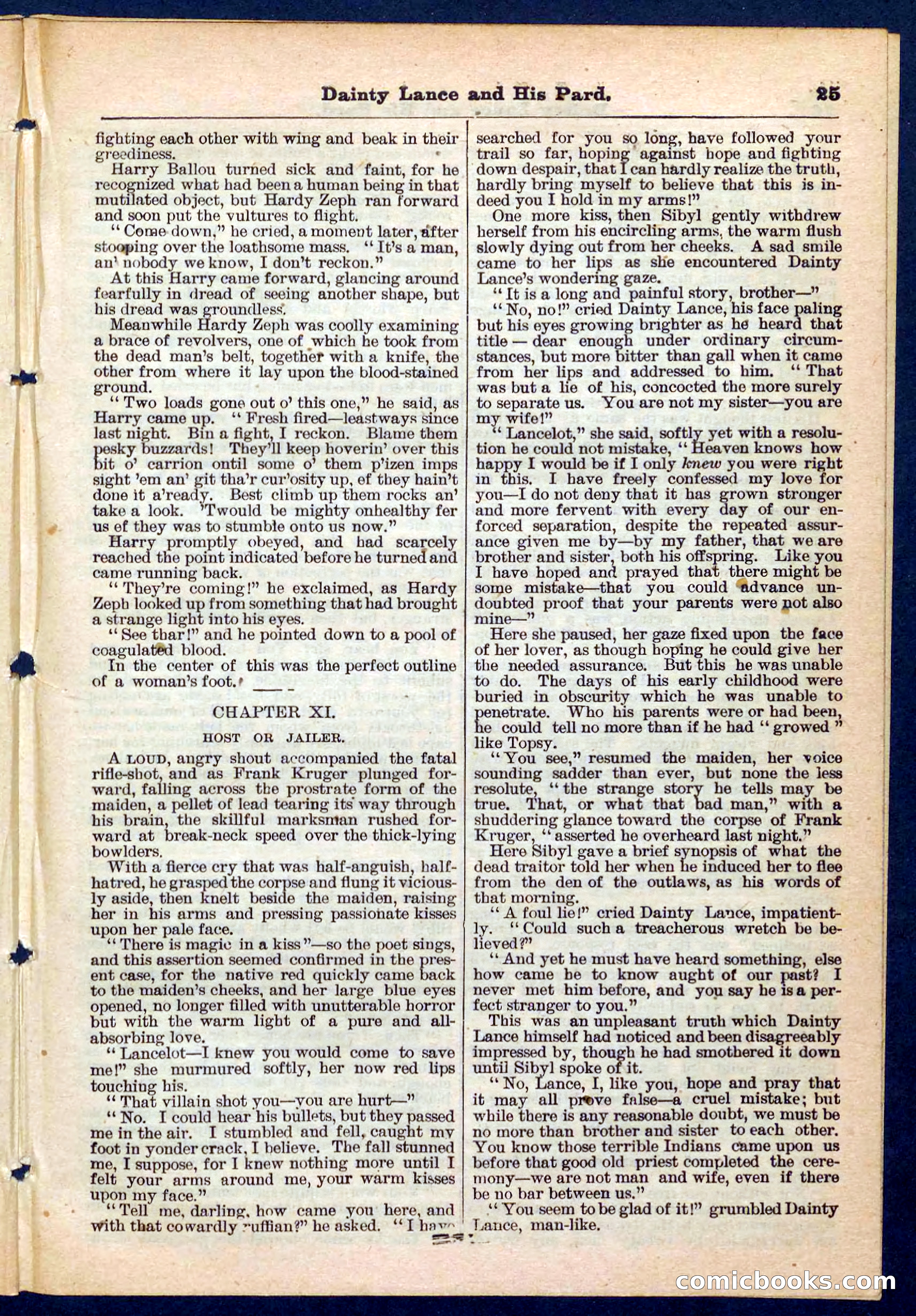 Beadle's Pocket Library No. 186 — page 25 of 32