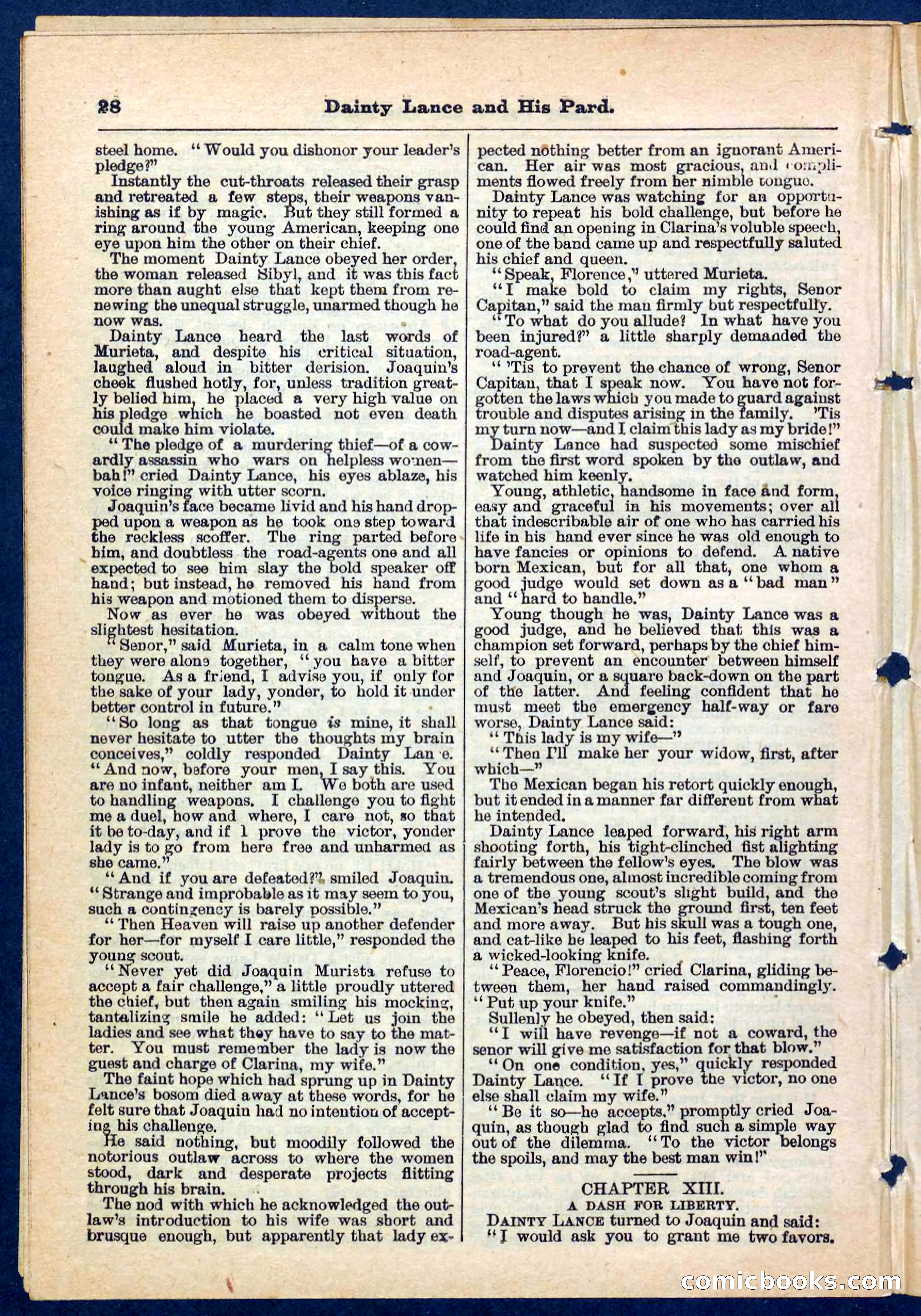 Beadle's Pocket Library No. 186 — page 28 of 32