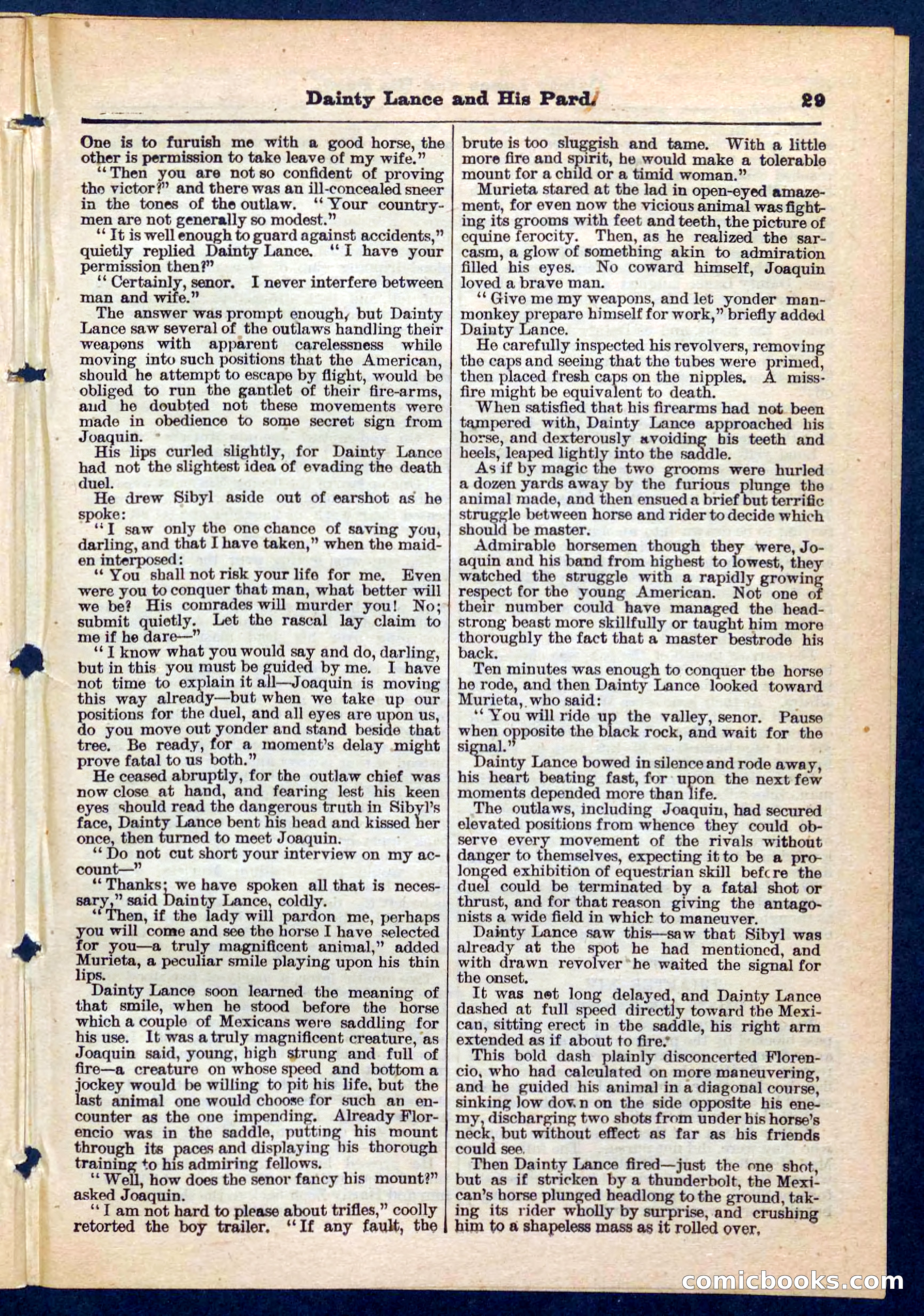 Beadle's Pocket Library No. 186 — page 29 of 32