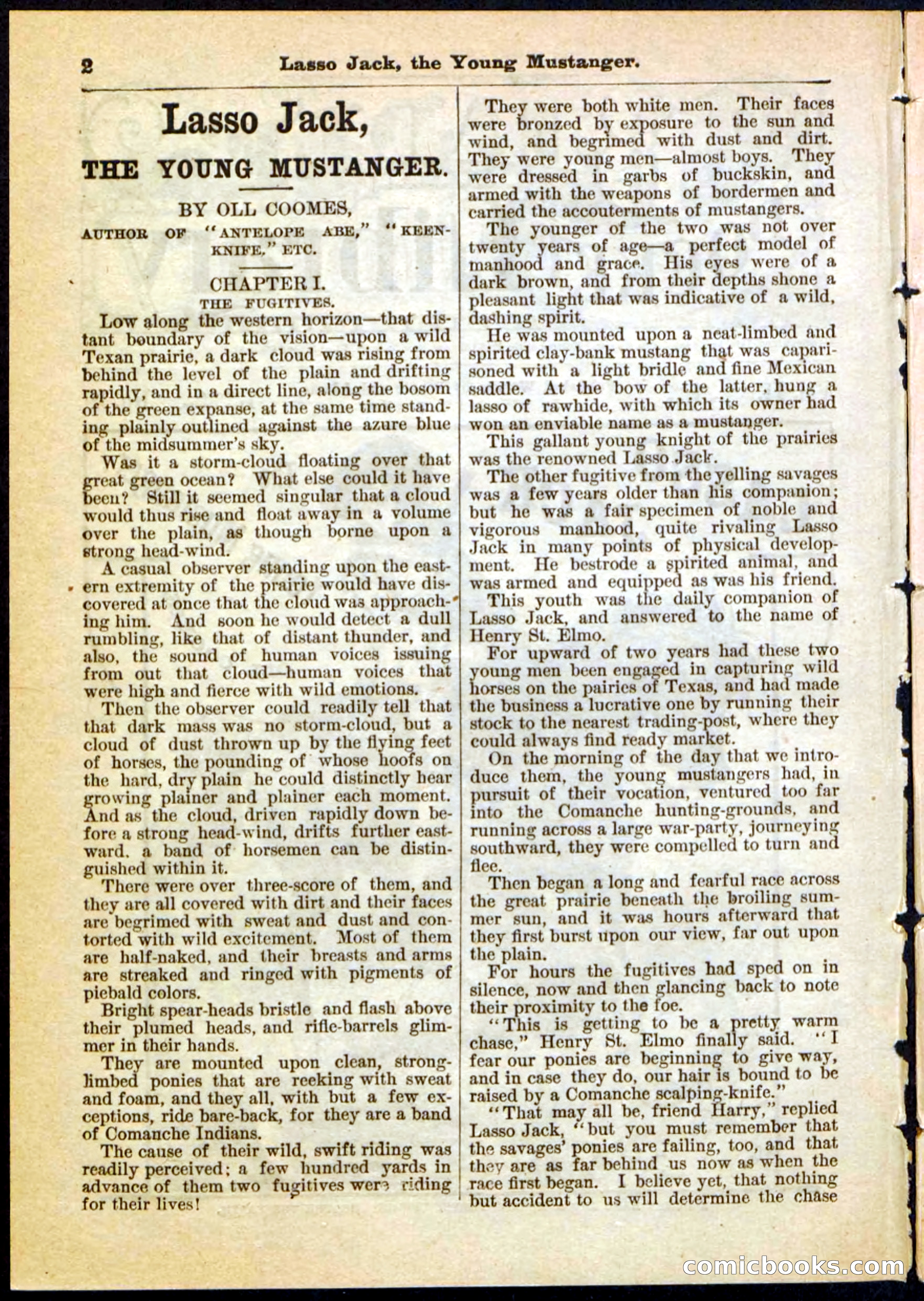 Beadle's Pocket Library No. 19 — page 2 of 32