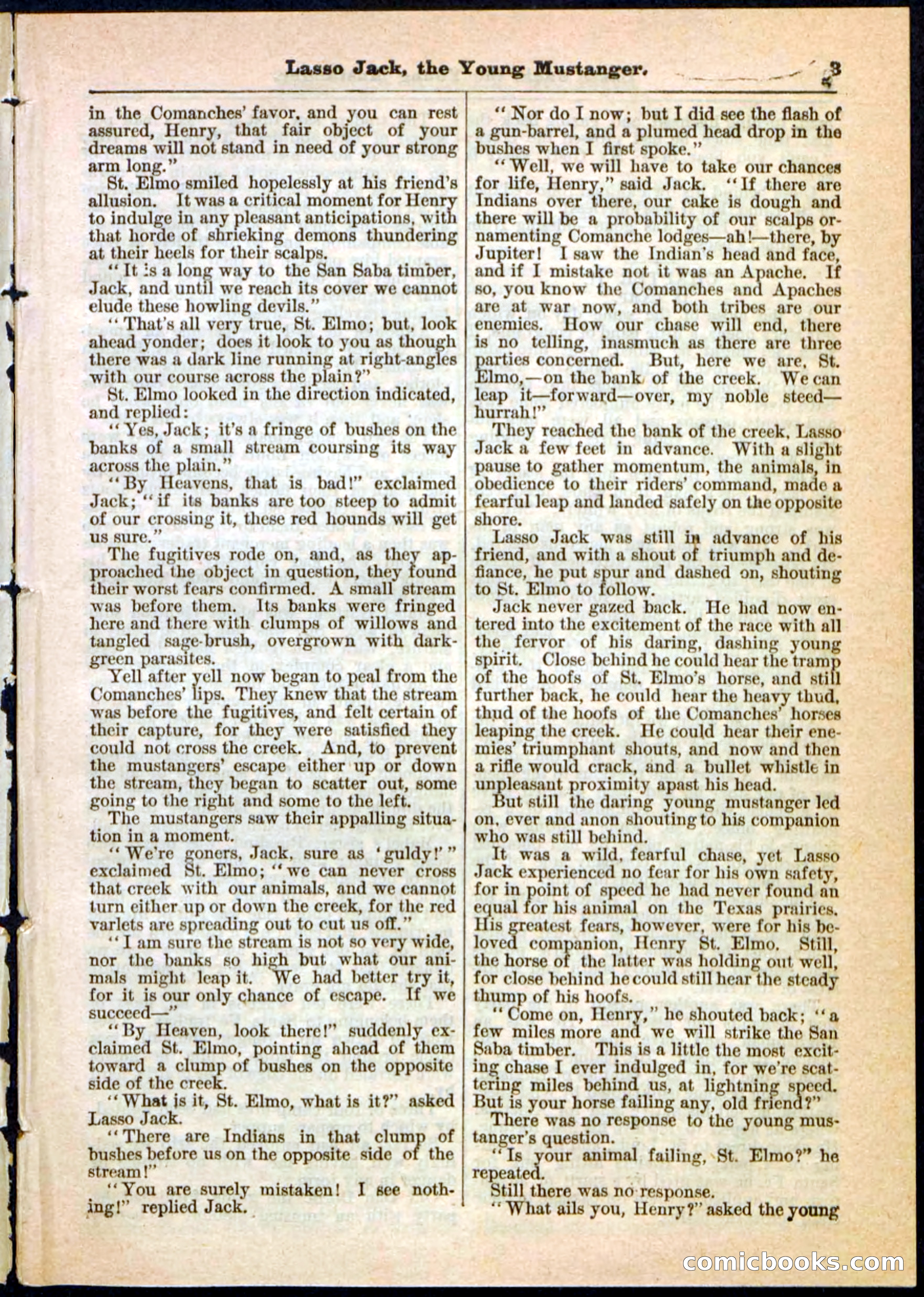 Beadle's Pocket Library No. 19 — page 3 of 32