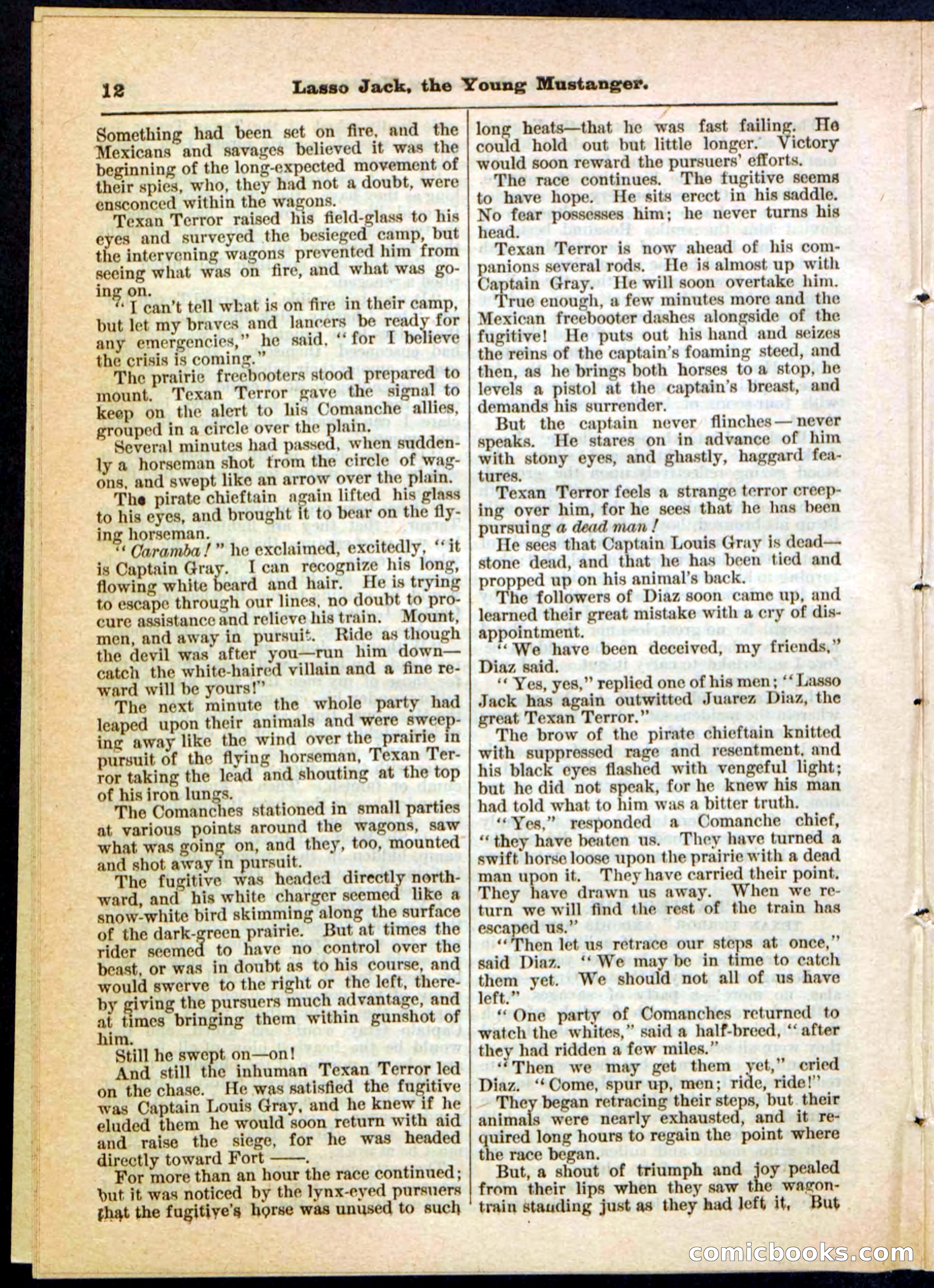 Beadle's Pocket Library No. 19 — page 6 of 32