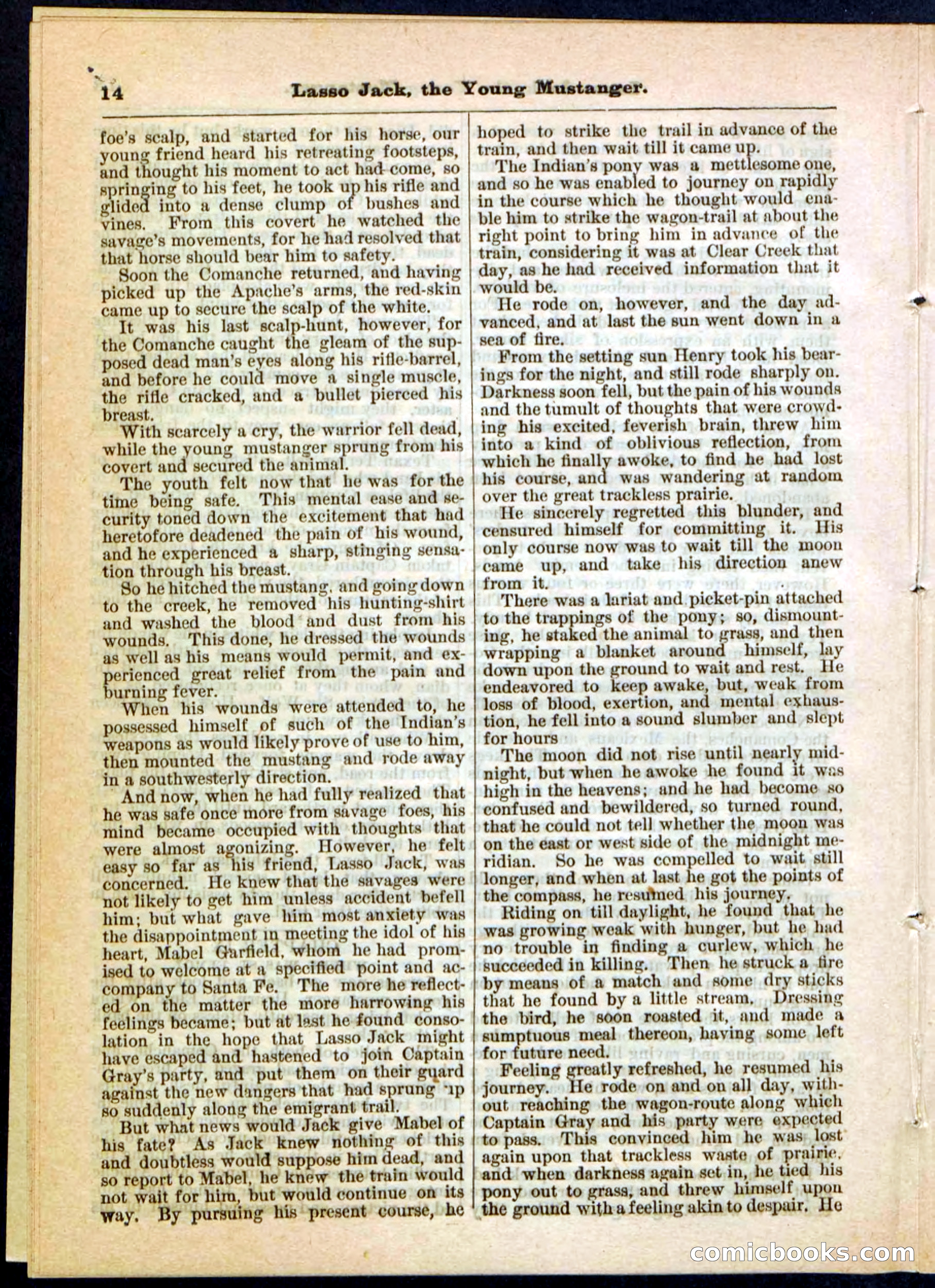Beadle's Pocket Library No. 19 — page 8 of 32