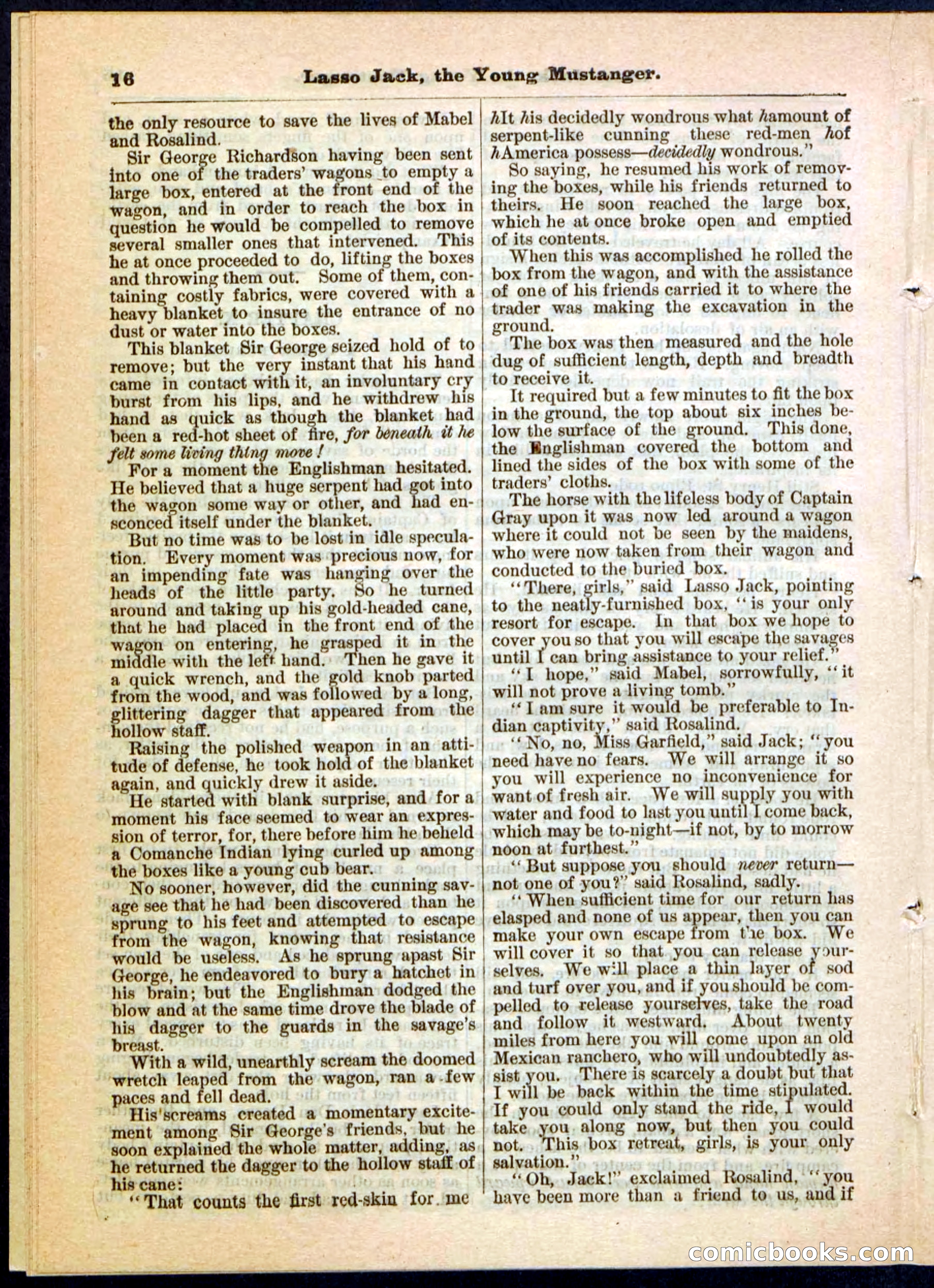 Beadle's Pocket Library No. 19 — page 10 of 32