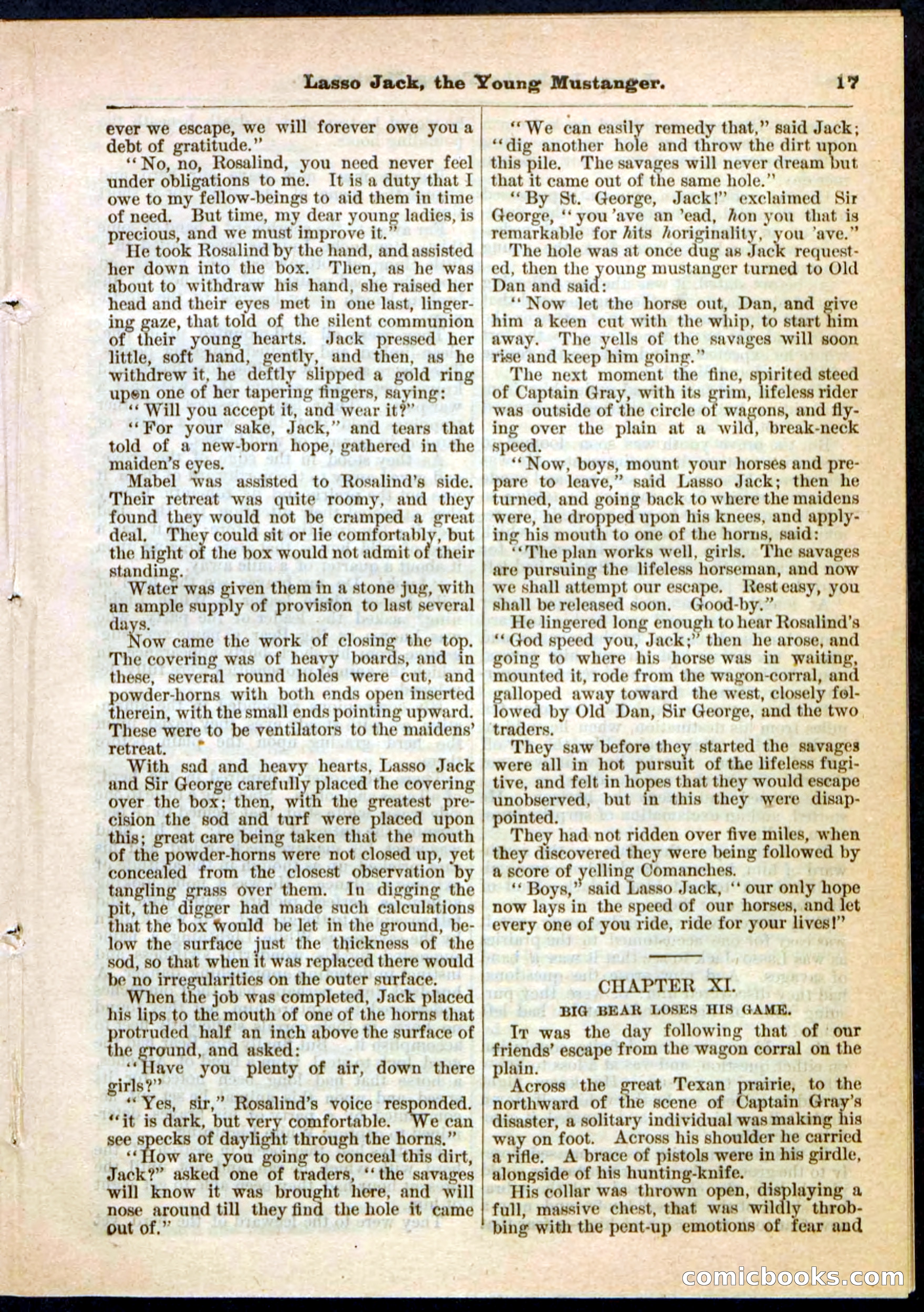 Beadle's Pocket Library No. 19 — page 11 of 32