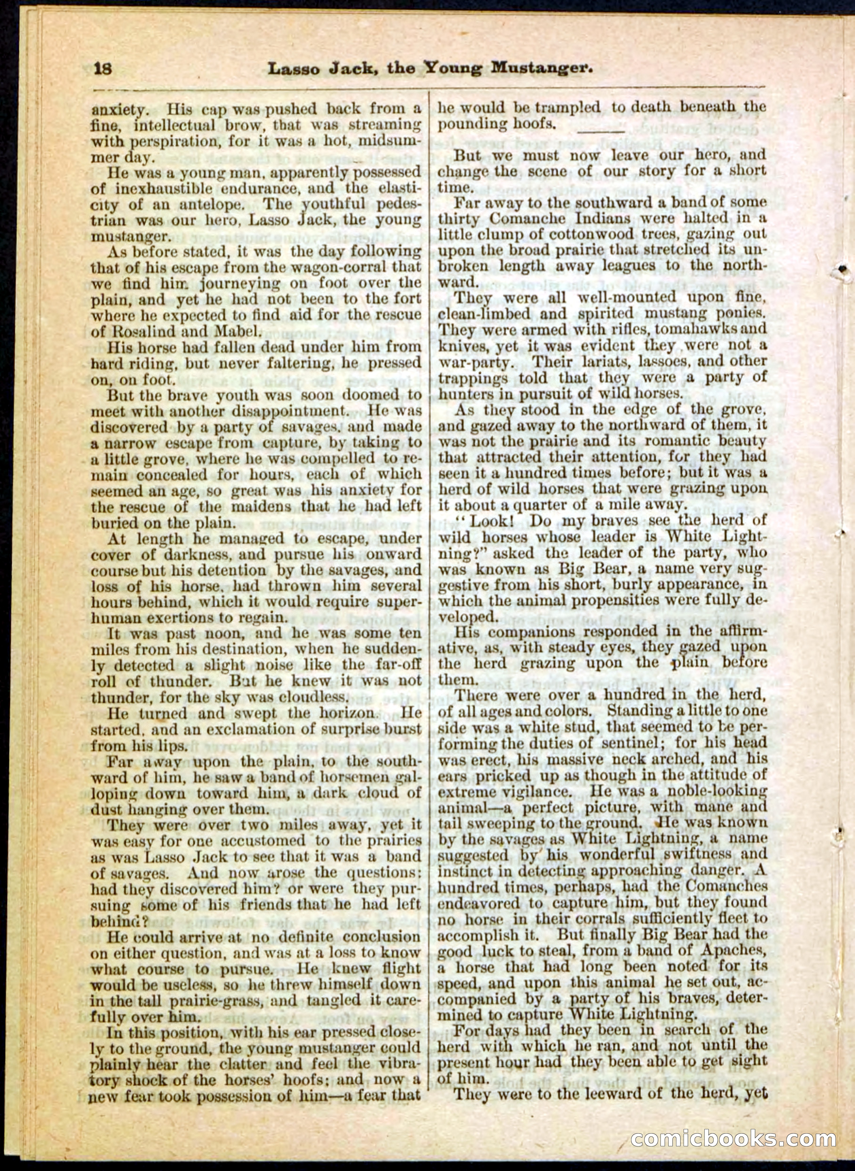 Beadle's Pocket Library No. 19 — page 12 of 32