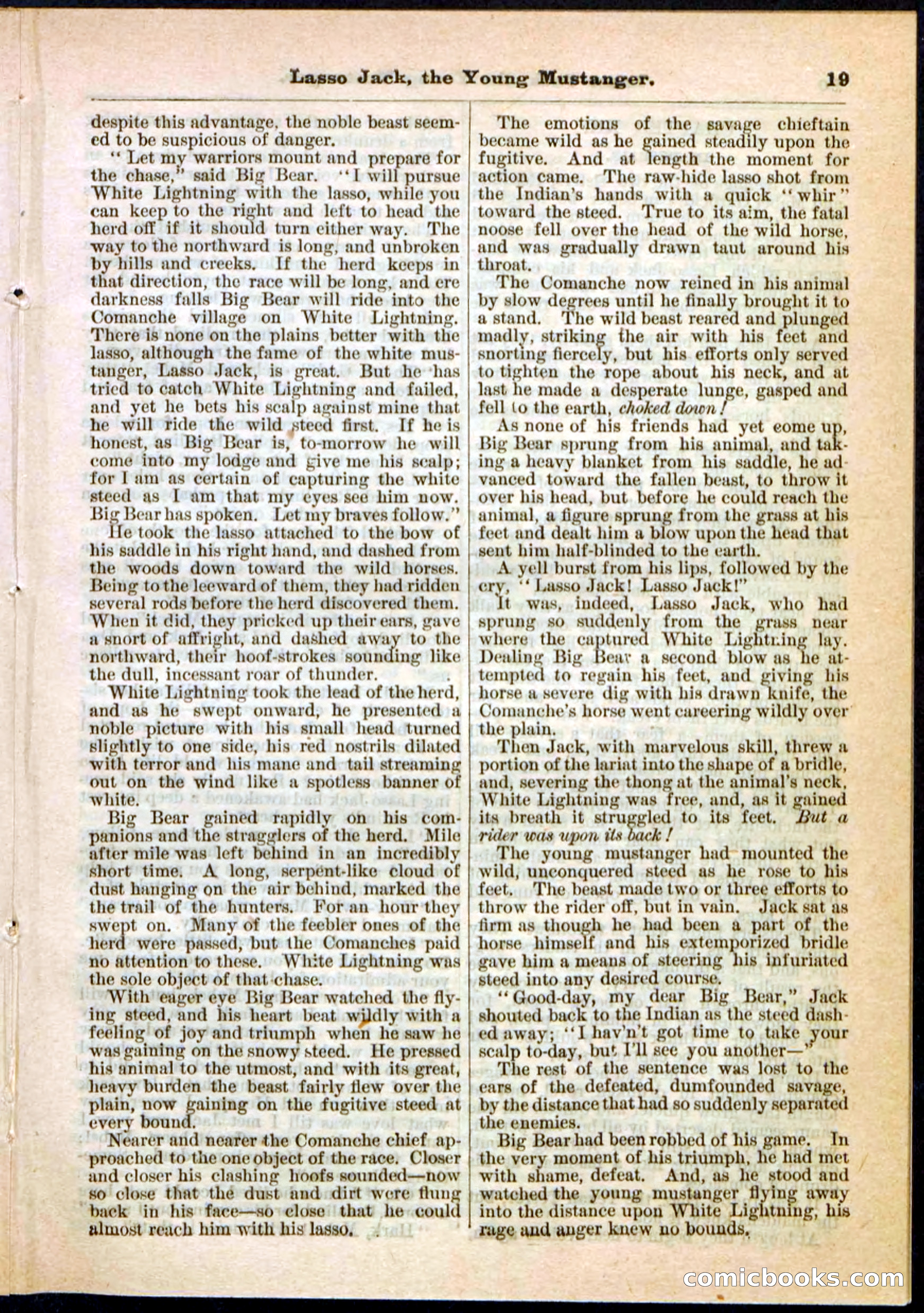Beadle's Pocket Library No. 19 — page 13 of 32