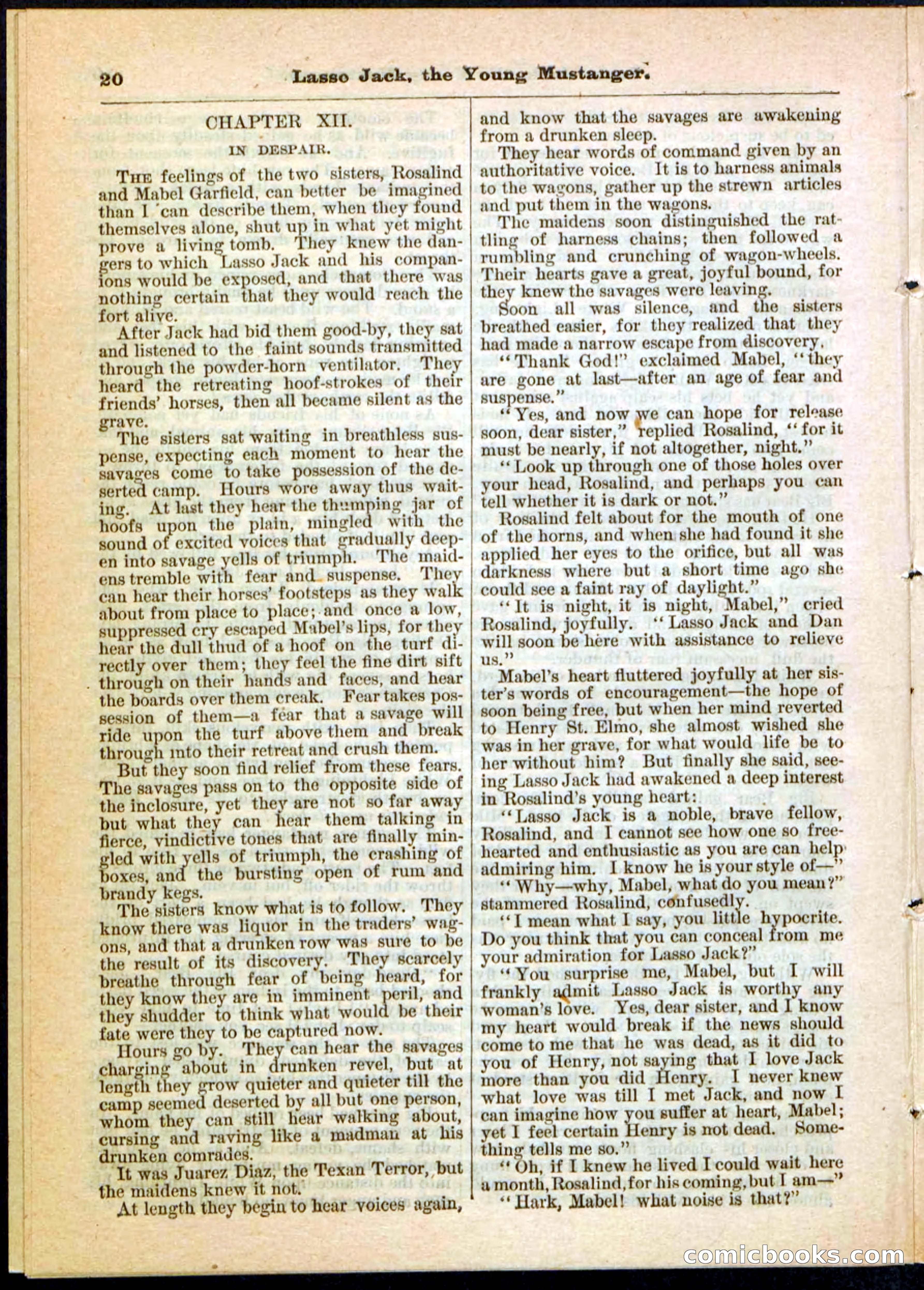 Beadle's Pocket Library No. 19 — page 14 of 32