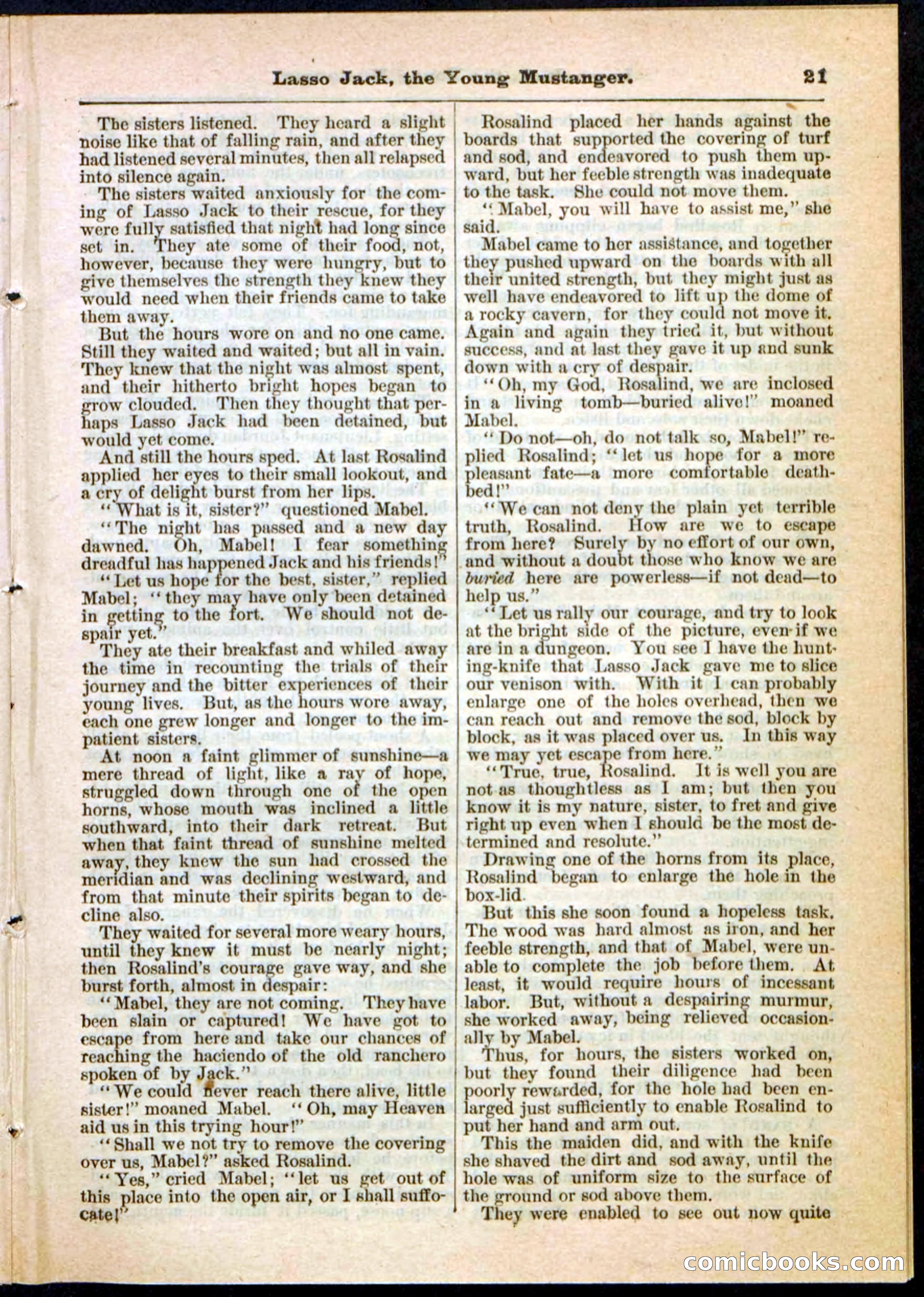 Beadle's Pocket Library No. 19 — page 15 of 32