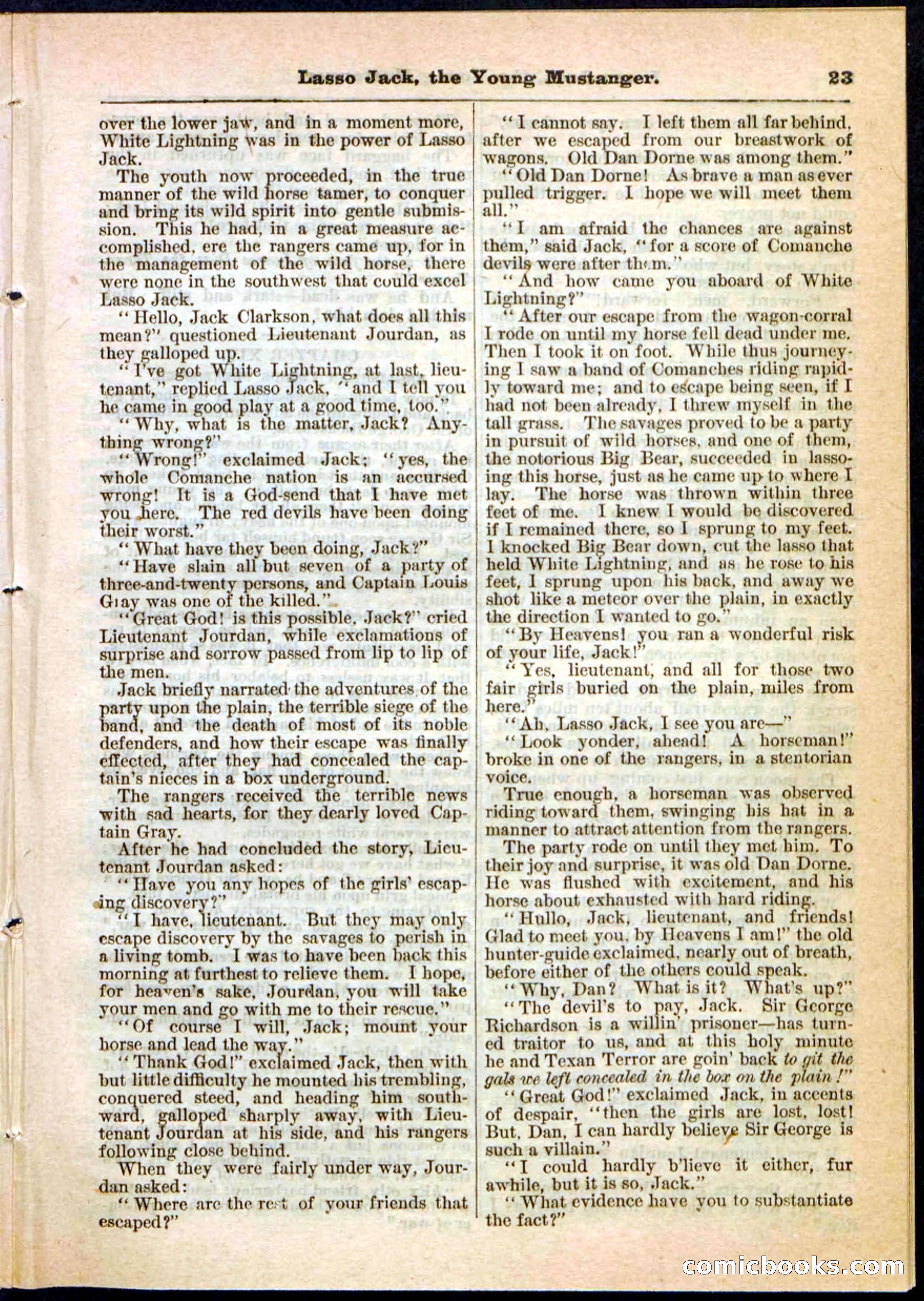 Beadle's Pocket Library No. 19 — page 17 of 32