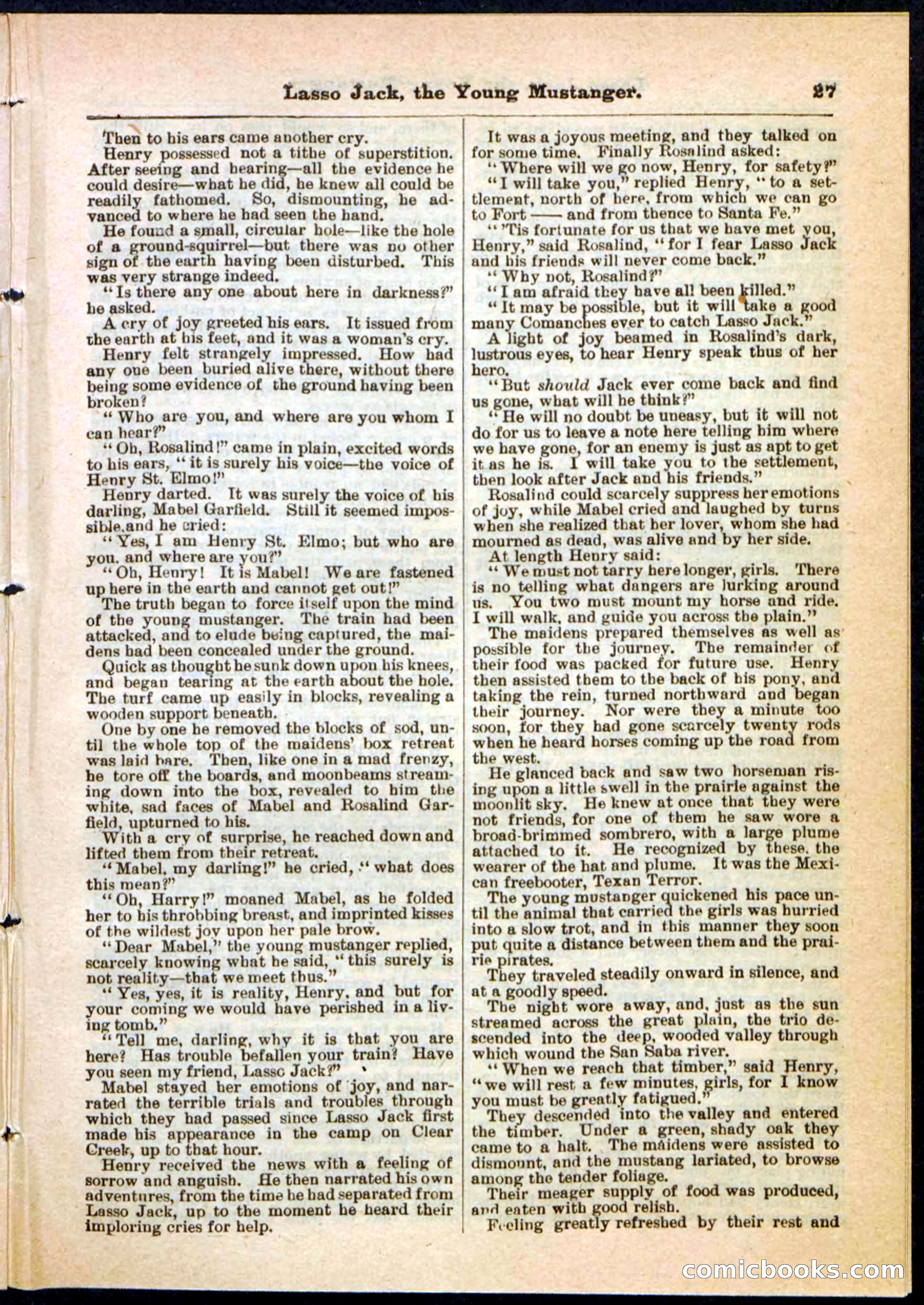 Beadle's Pocket Library No. 19 — page 21 of 32