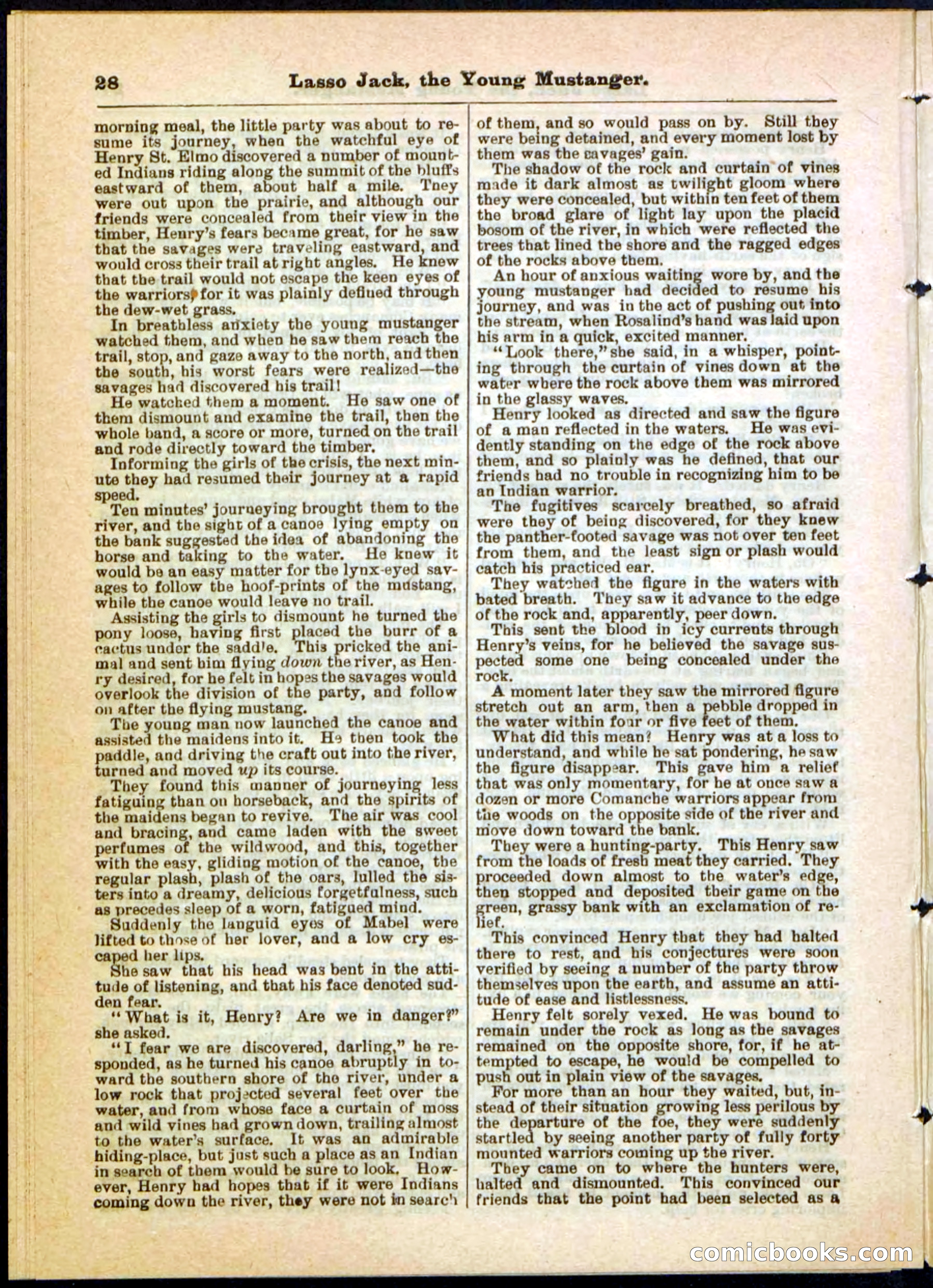 Beadle's Pocket Library No. 19 — page 22 of 32