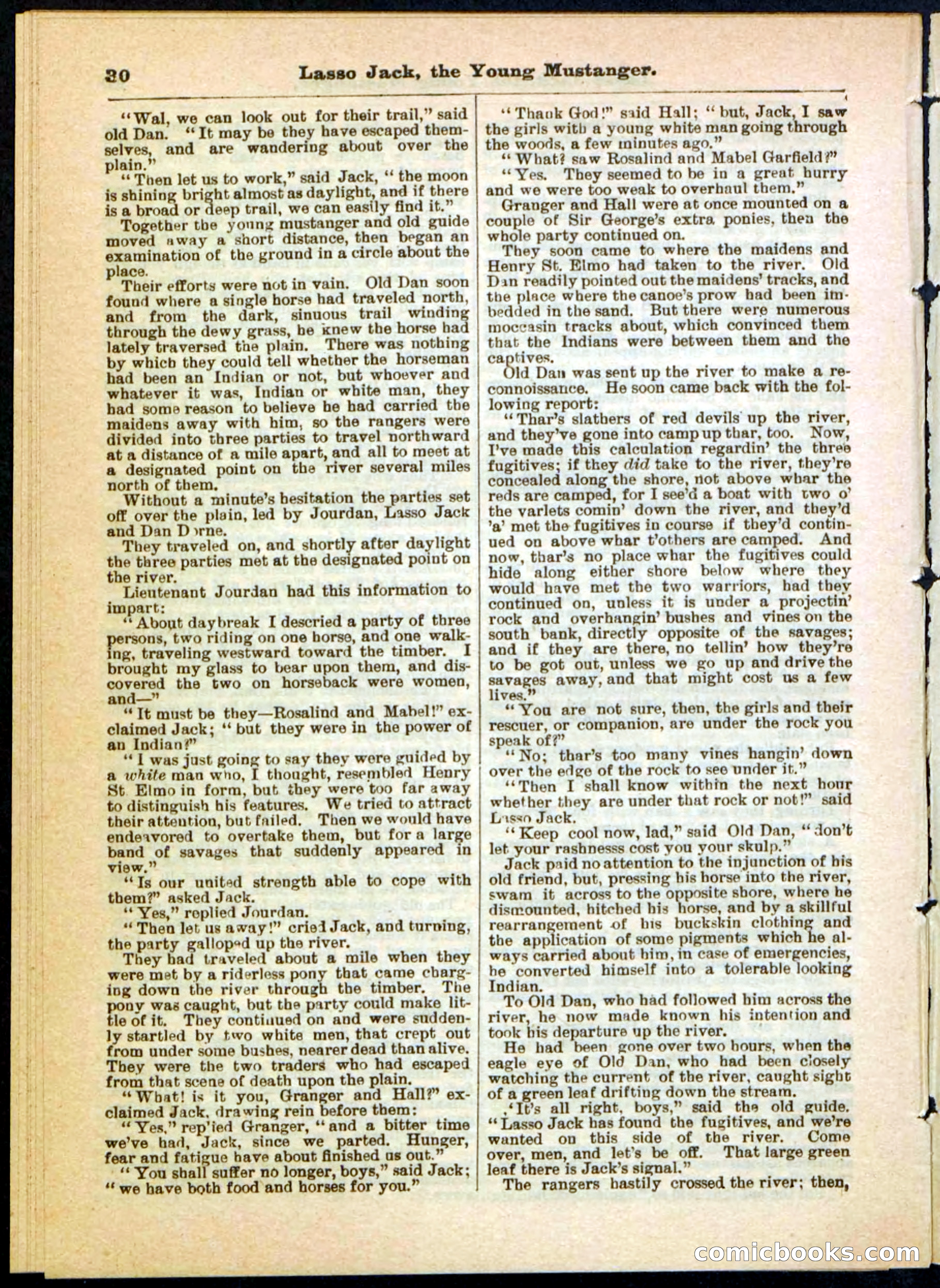 Beadle's Pocket Library No. 19 — page 24 of 32