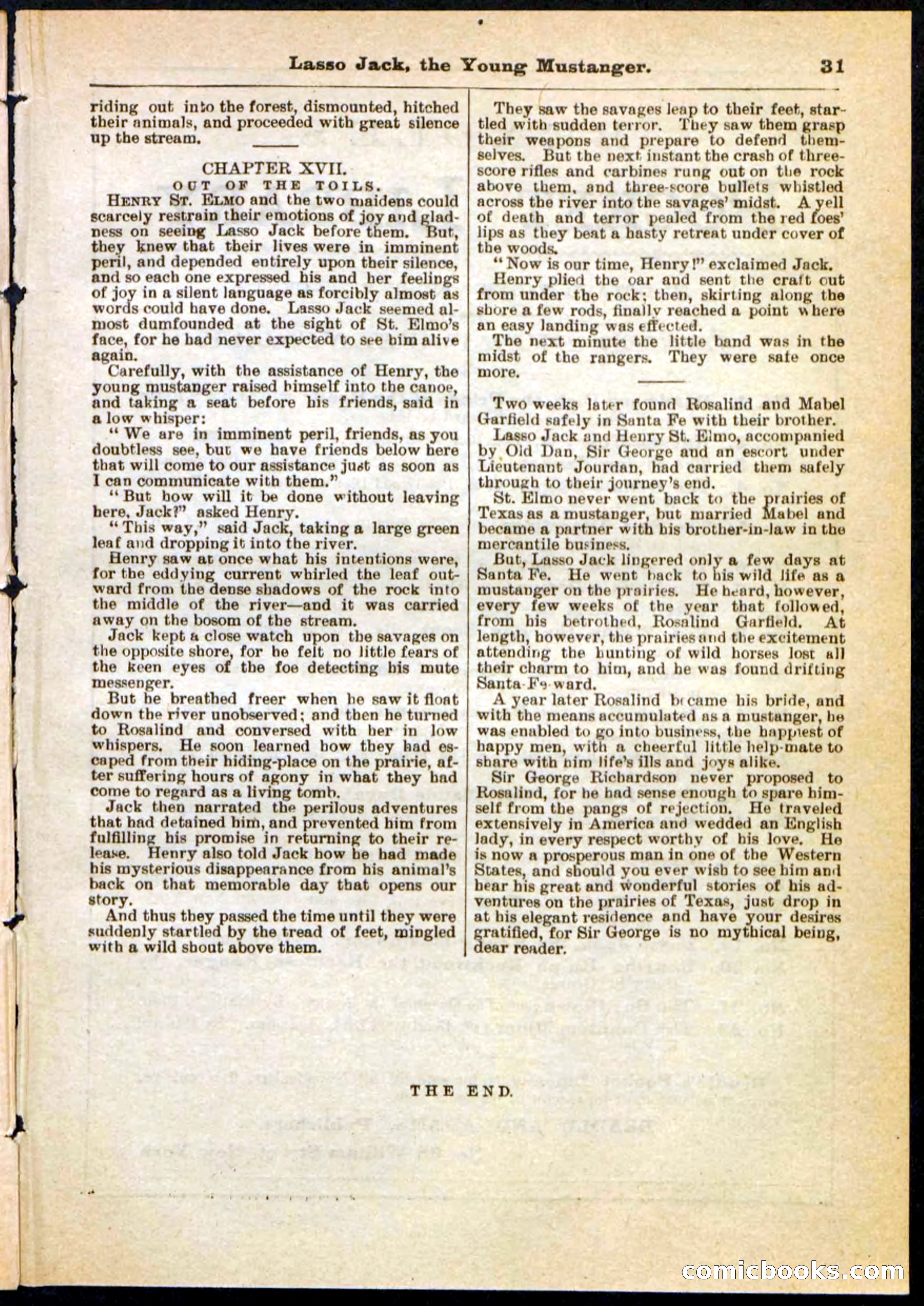 Beadle's Pocket Library No. 19 — page 25 of 32