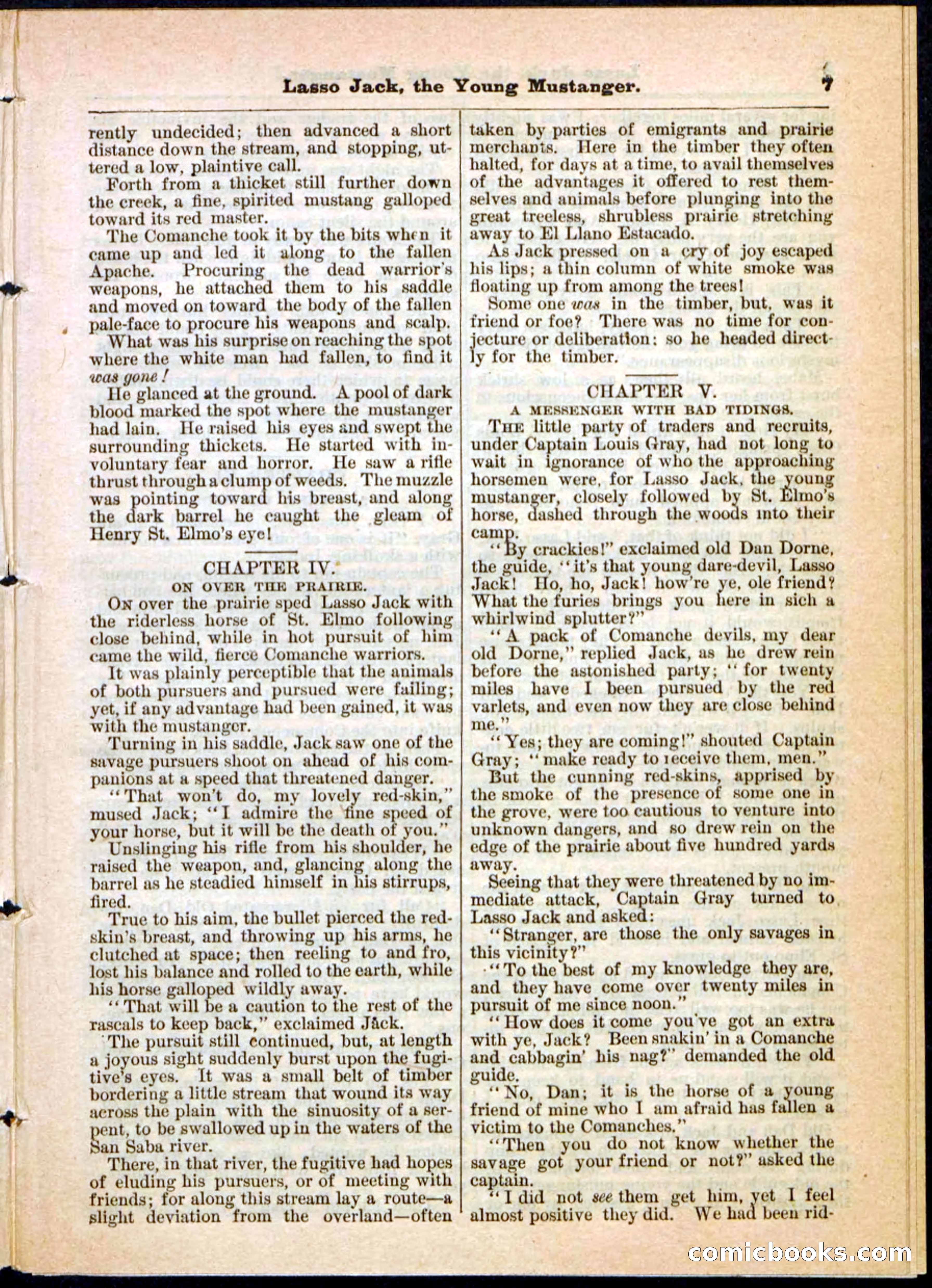 Beadle's Pocket Library No. 19 — page 28 of 32