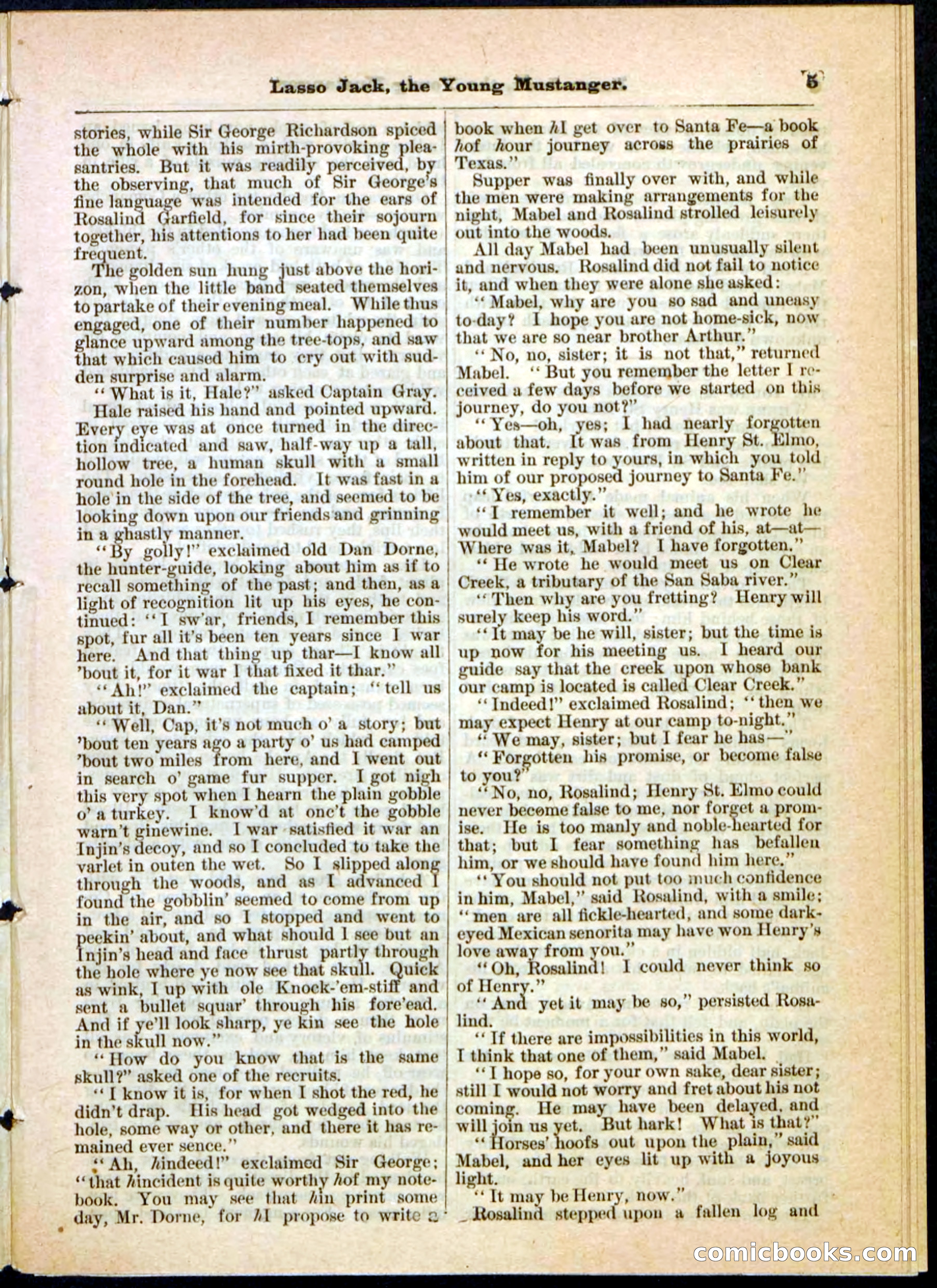 Beadle's Pocket Library No. 19 — page 30 of 32