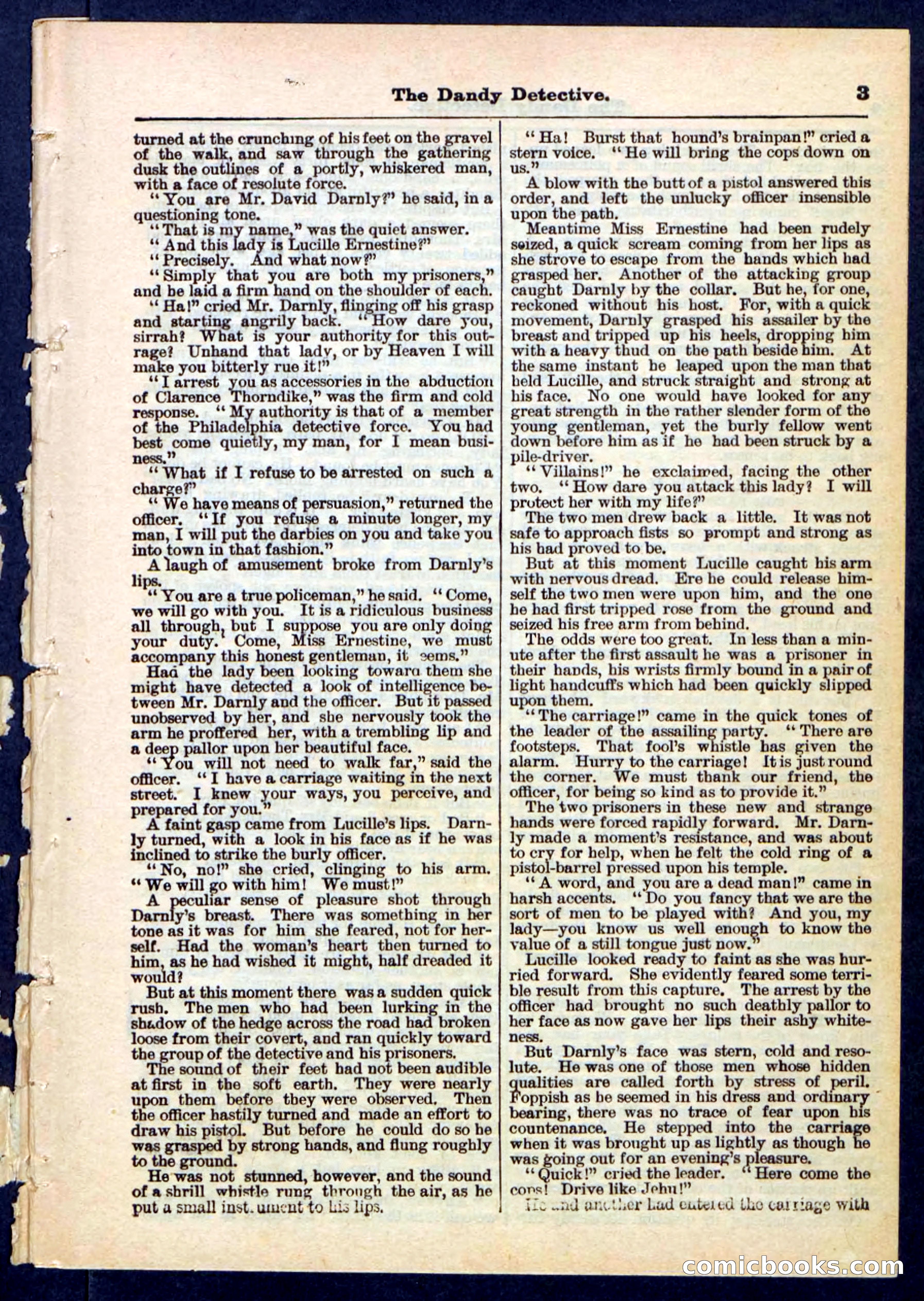 Beadle's Pocket Library No. 196 — page 3 of 32