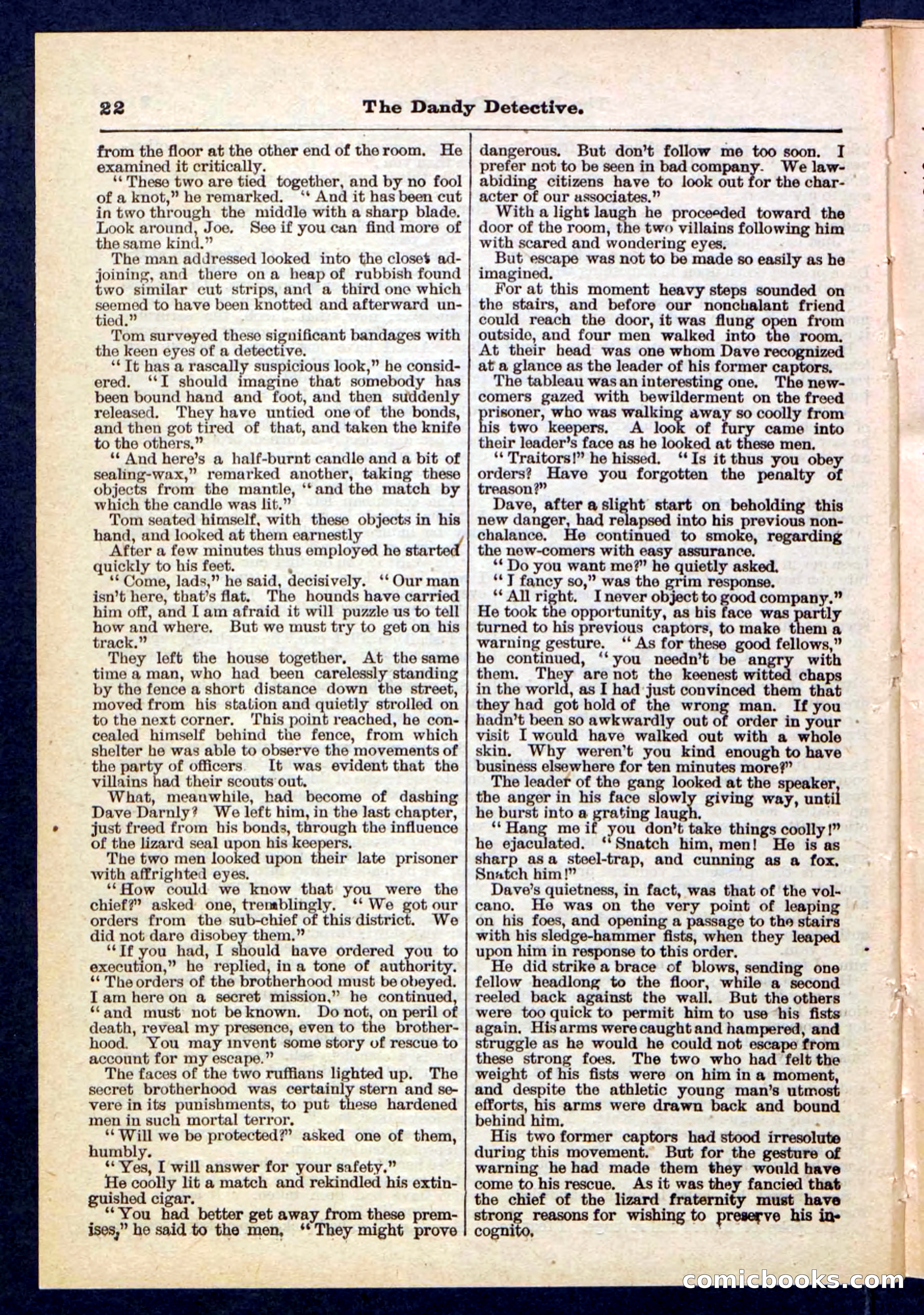 Beadle's Pocket Library No. 196 — page 22 of 32