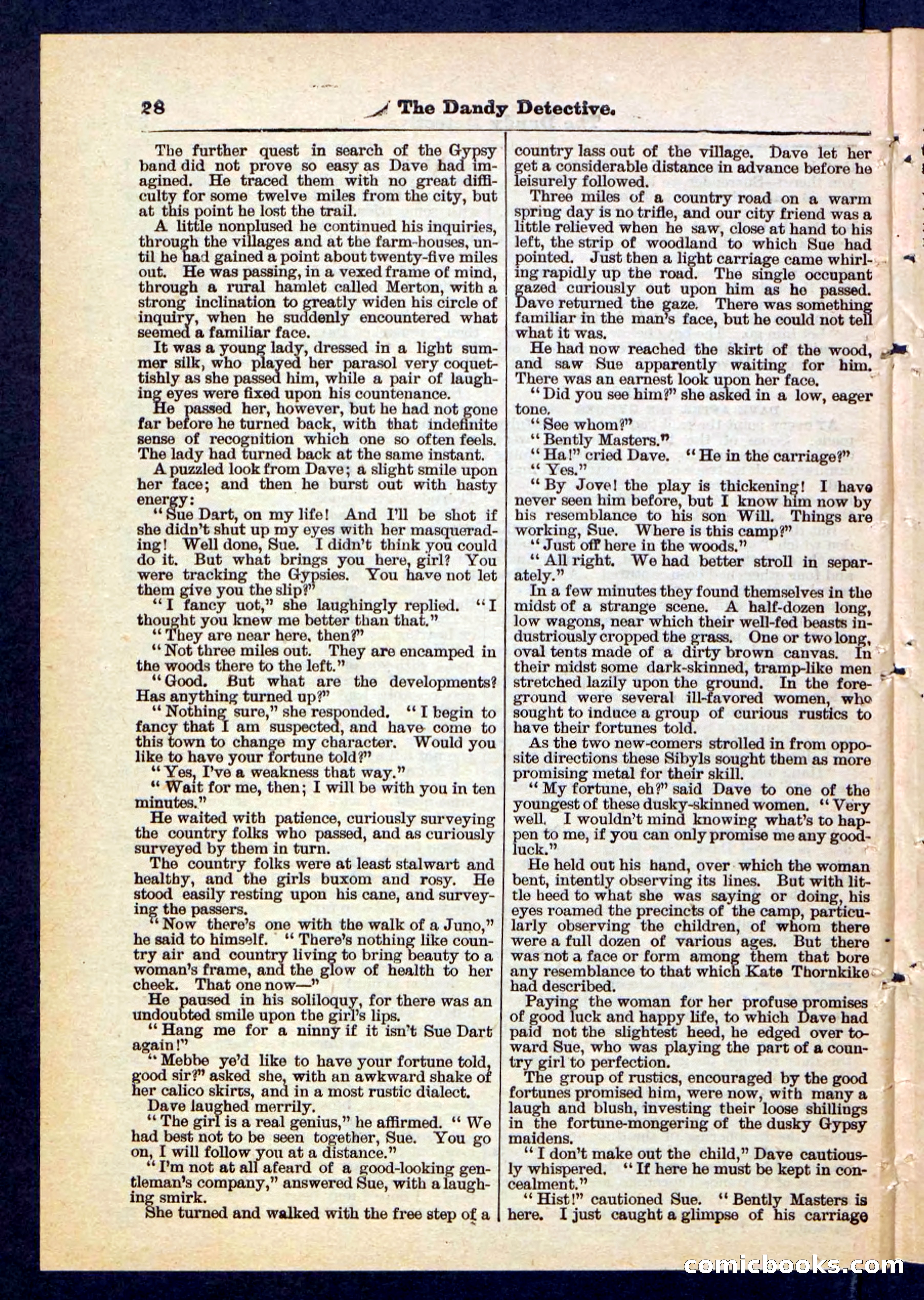 Beadle's Pocket Library No. 196 — page 28 of 32